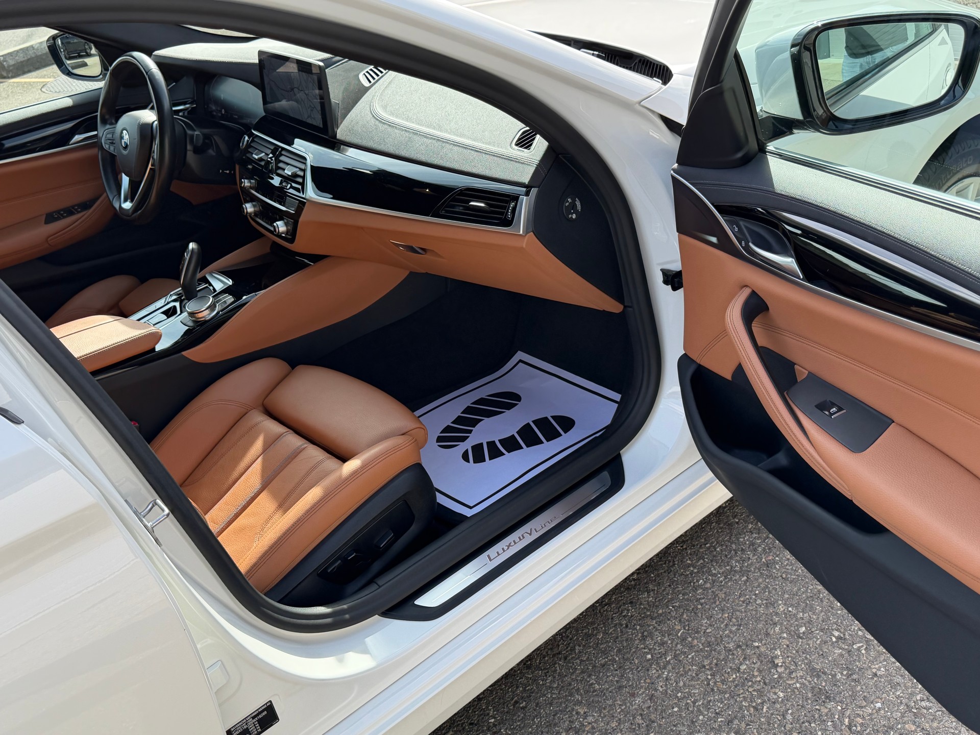 BMW 520d xDrive 48V Luxury Line Steptronic-image-8