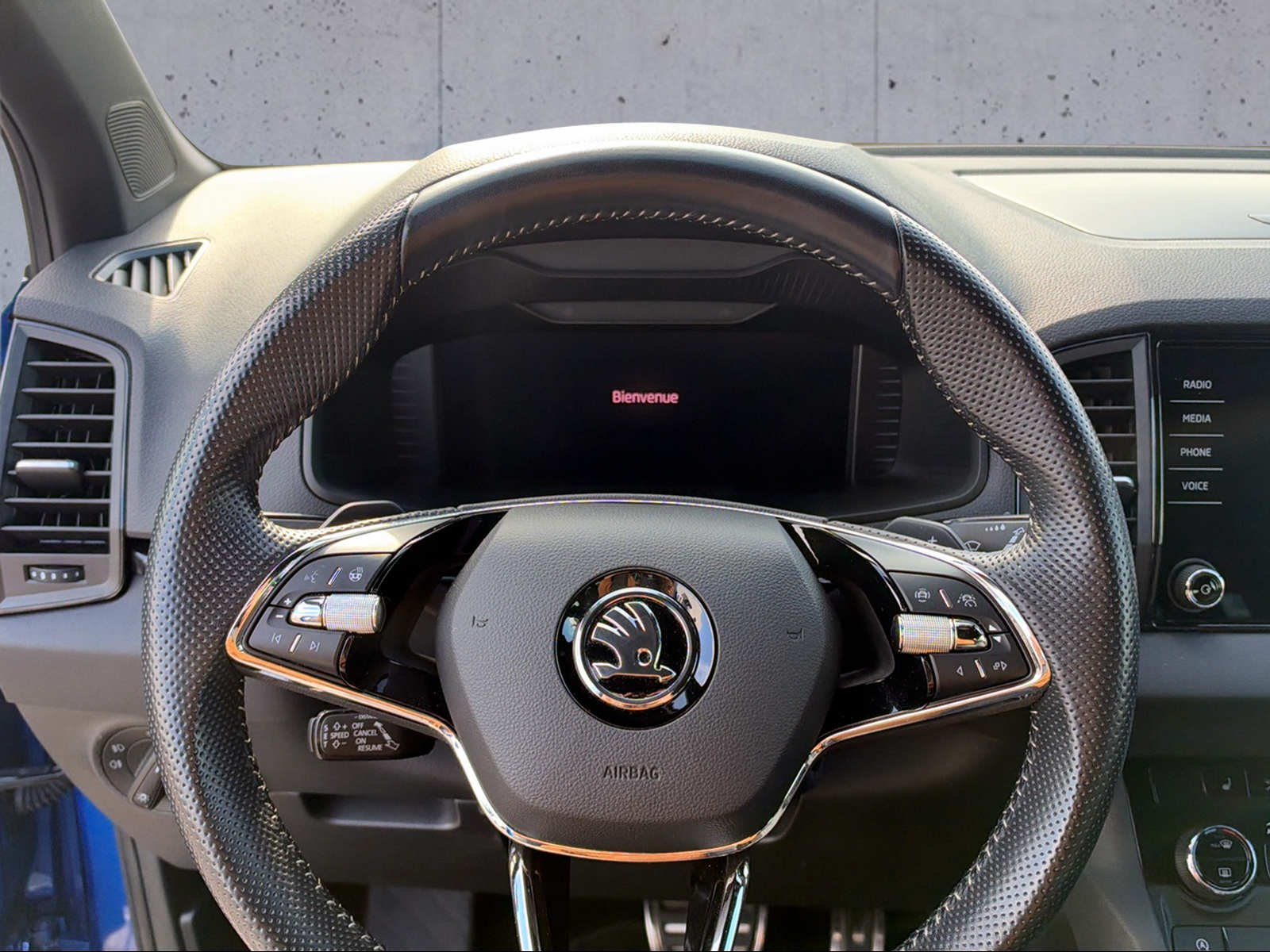 SKODA Karoq 1.5 TSI ACT SportLine DSG-image-3