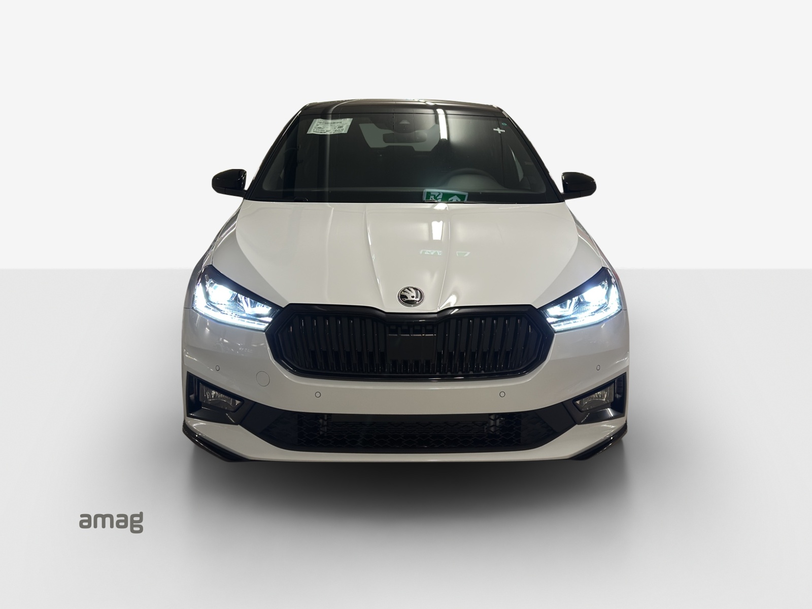SKODA Fabia 1.0 TSI Monte Carlo DSG-image-6