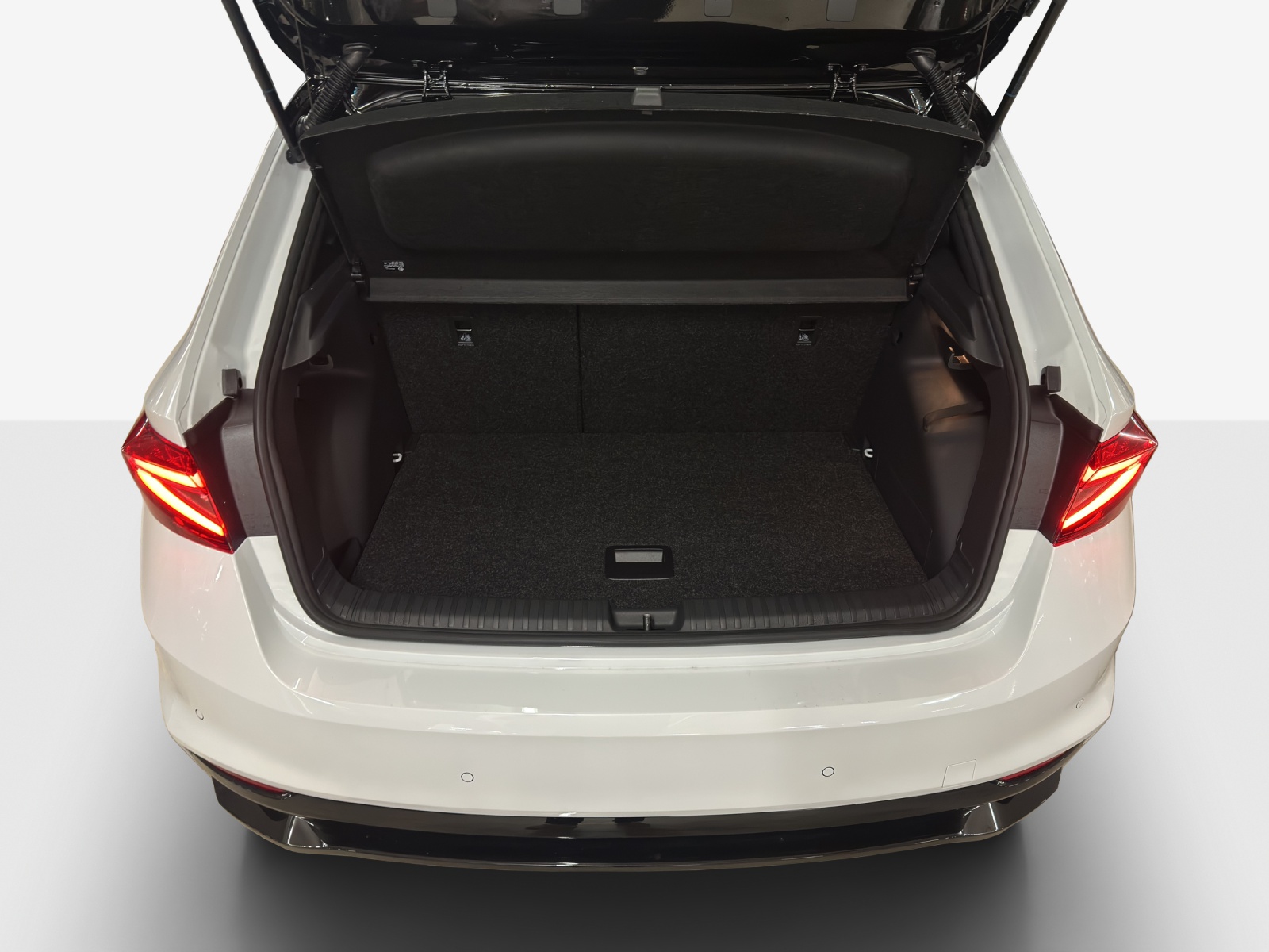 SKODA Fabia 1.0 TSI Monte Carlo DSG-image-12