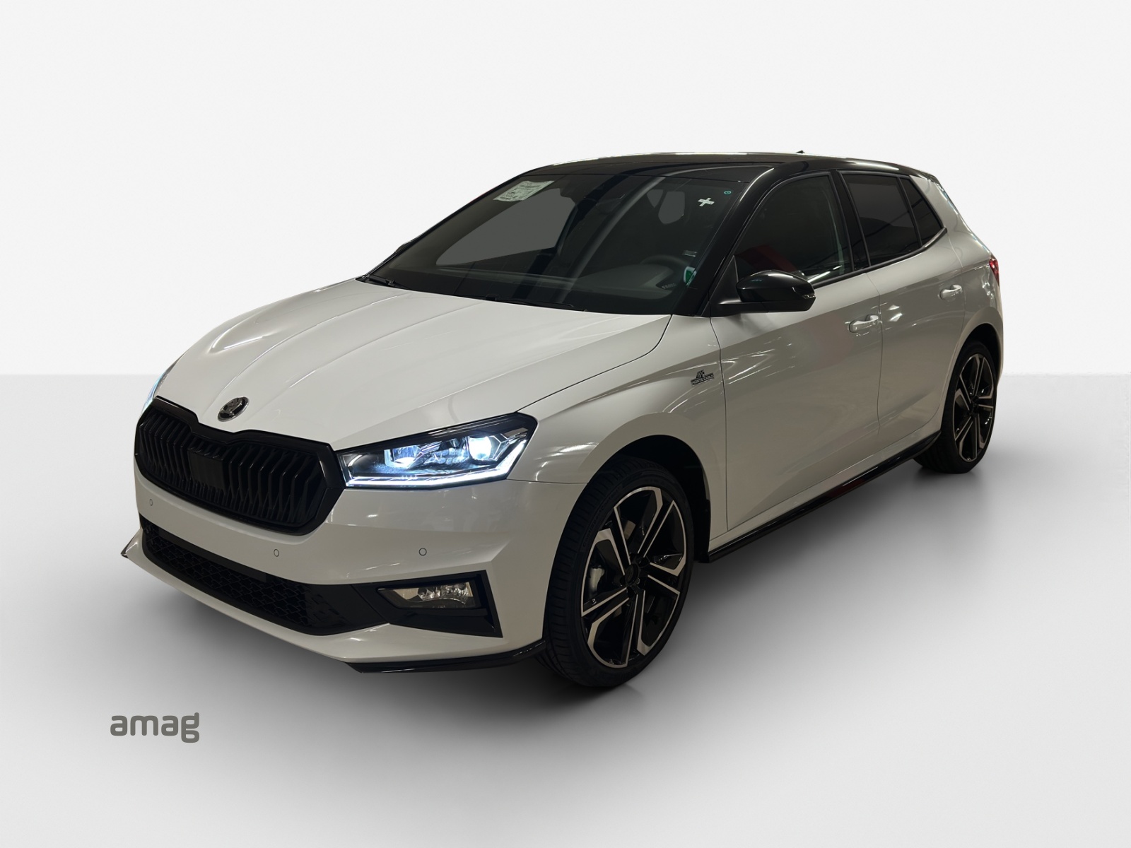 SKODA Fabia 1.0 TSI Monte Carlo DSG-image-0