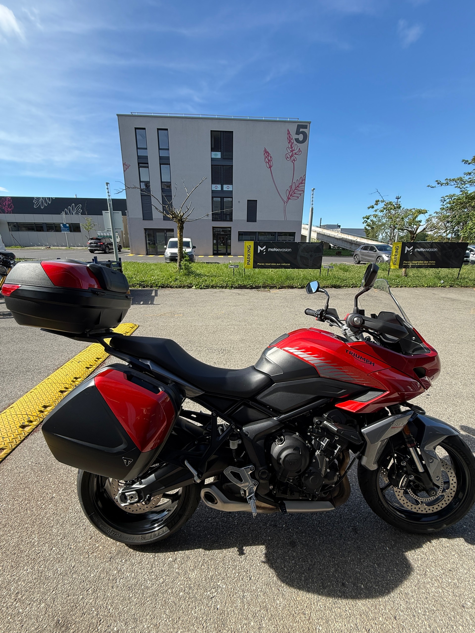 TRIUMPH Tiger 660 Sport