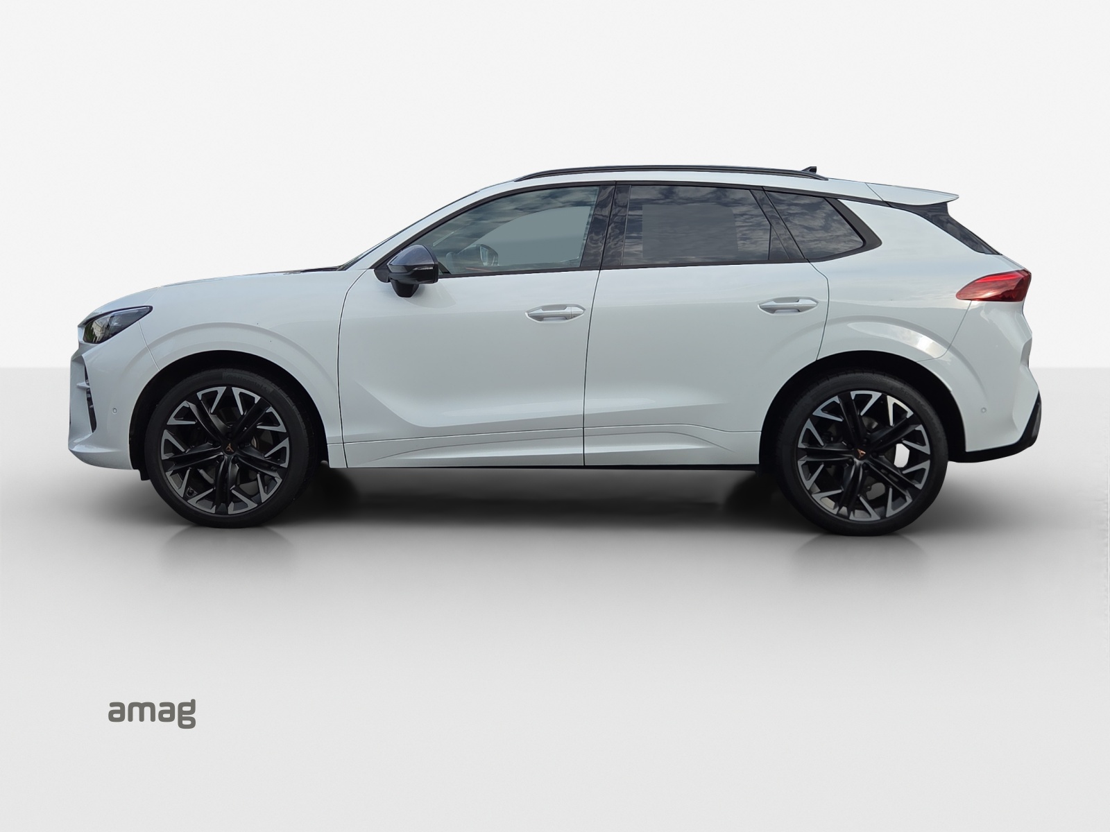 CUPRA Terramar 2.0 TSI DSG 4Drive VZ-image-1