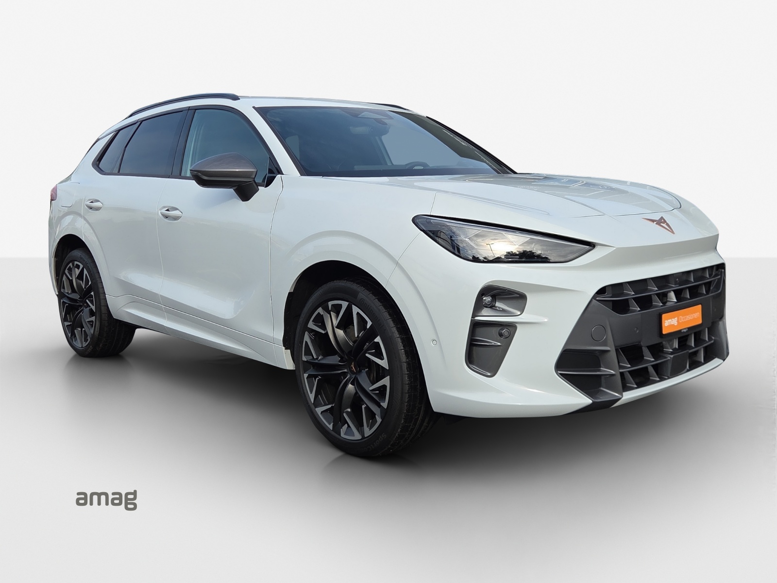 CUPRA Terramar 2.0 TSI DSG 4Drive VZ-image-5