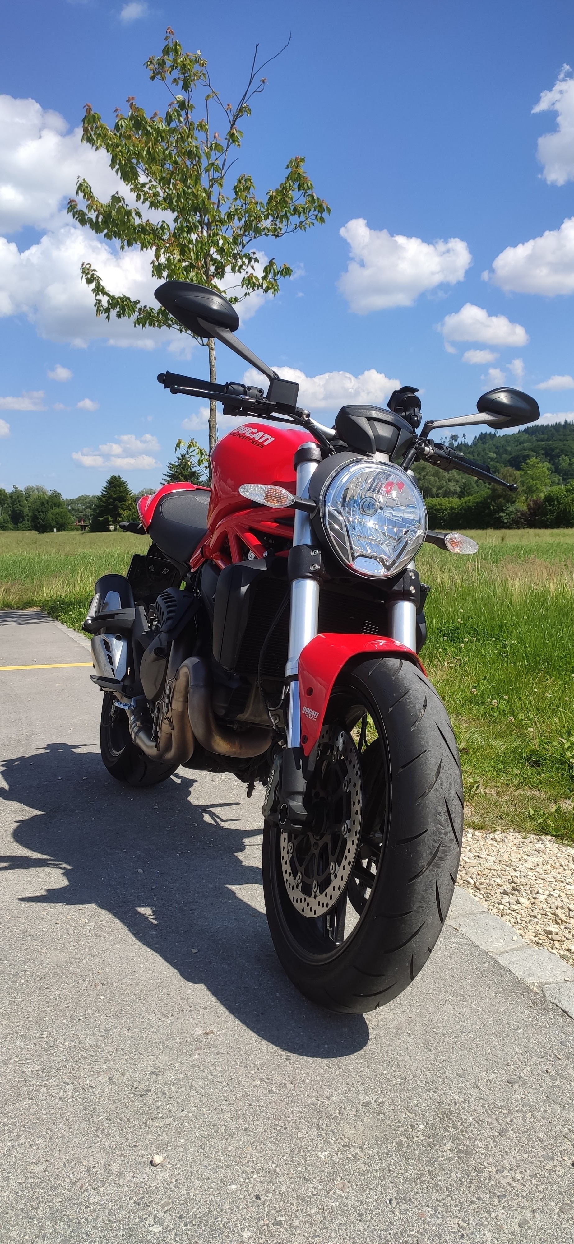 DUCATI Monster 821-image-2