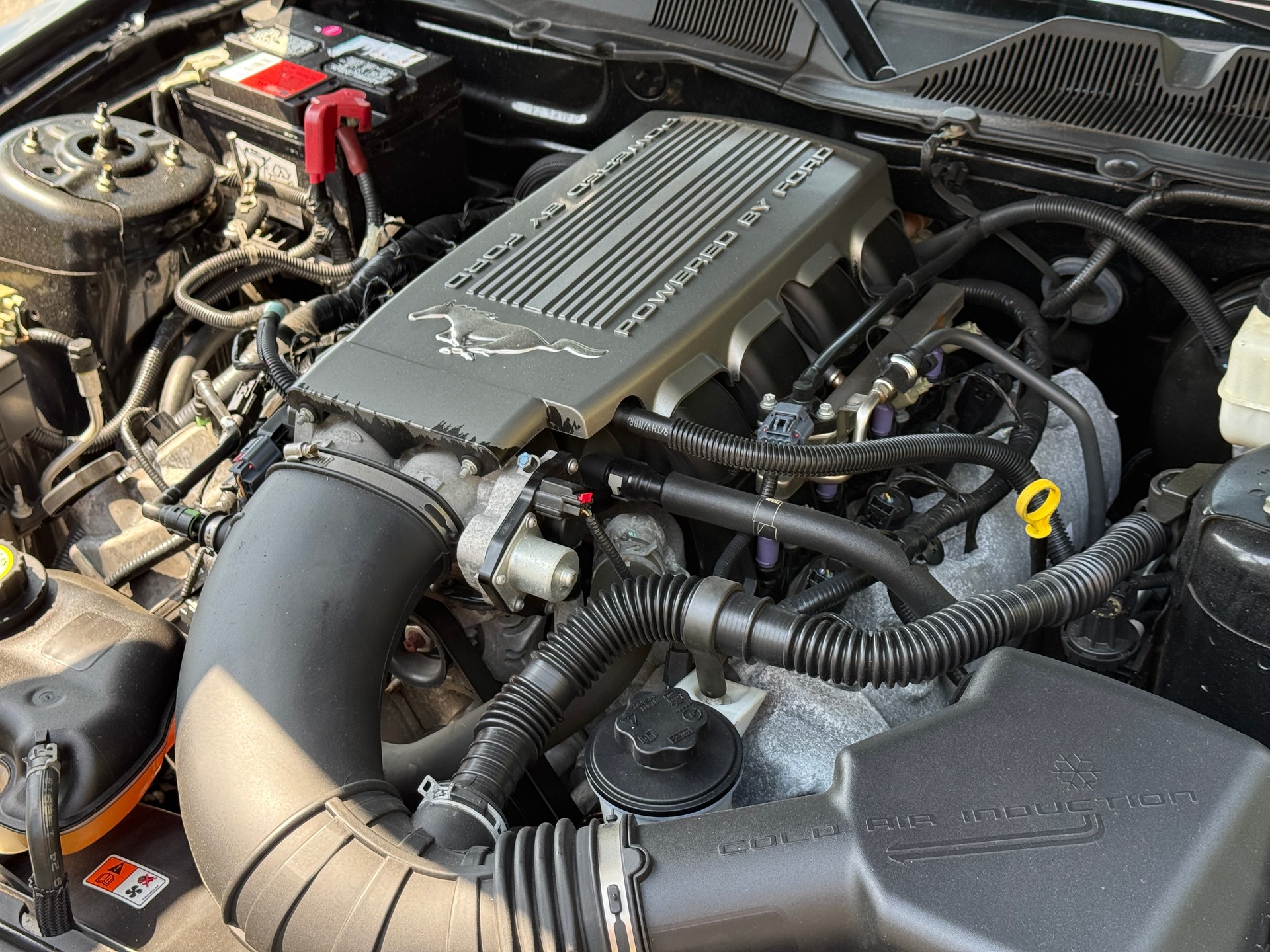 FORD MUSTANG GT 4.6-image-18