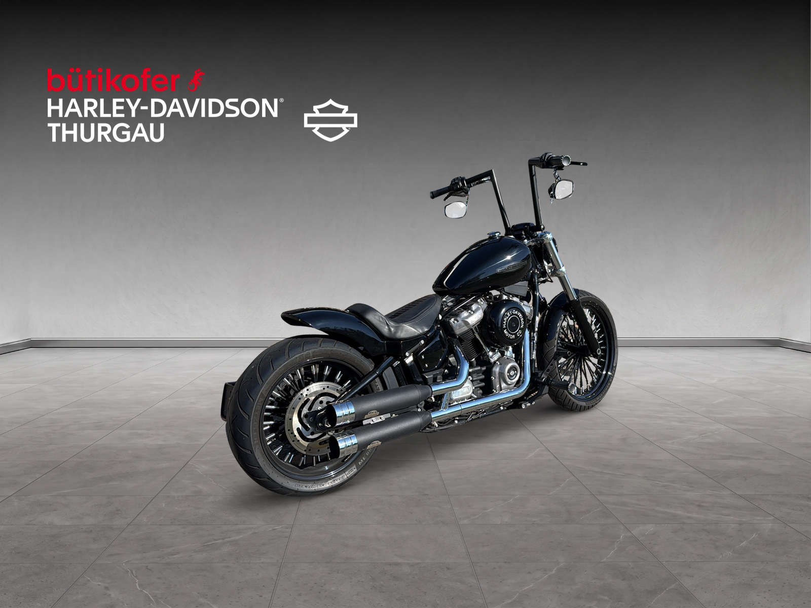 HARLEY-DAVIDSON FXST Softail Standard 107-showroom-element-2