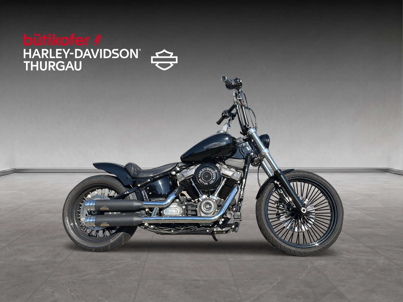 HARLEY-DAVIDSON FXST Softail Standard 107-showroom-element-1