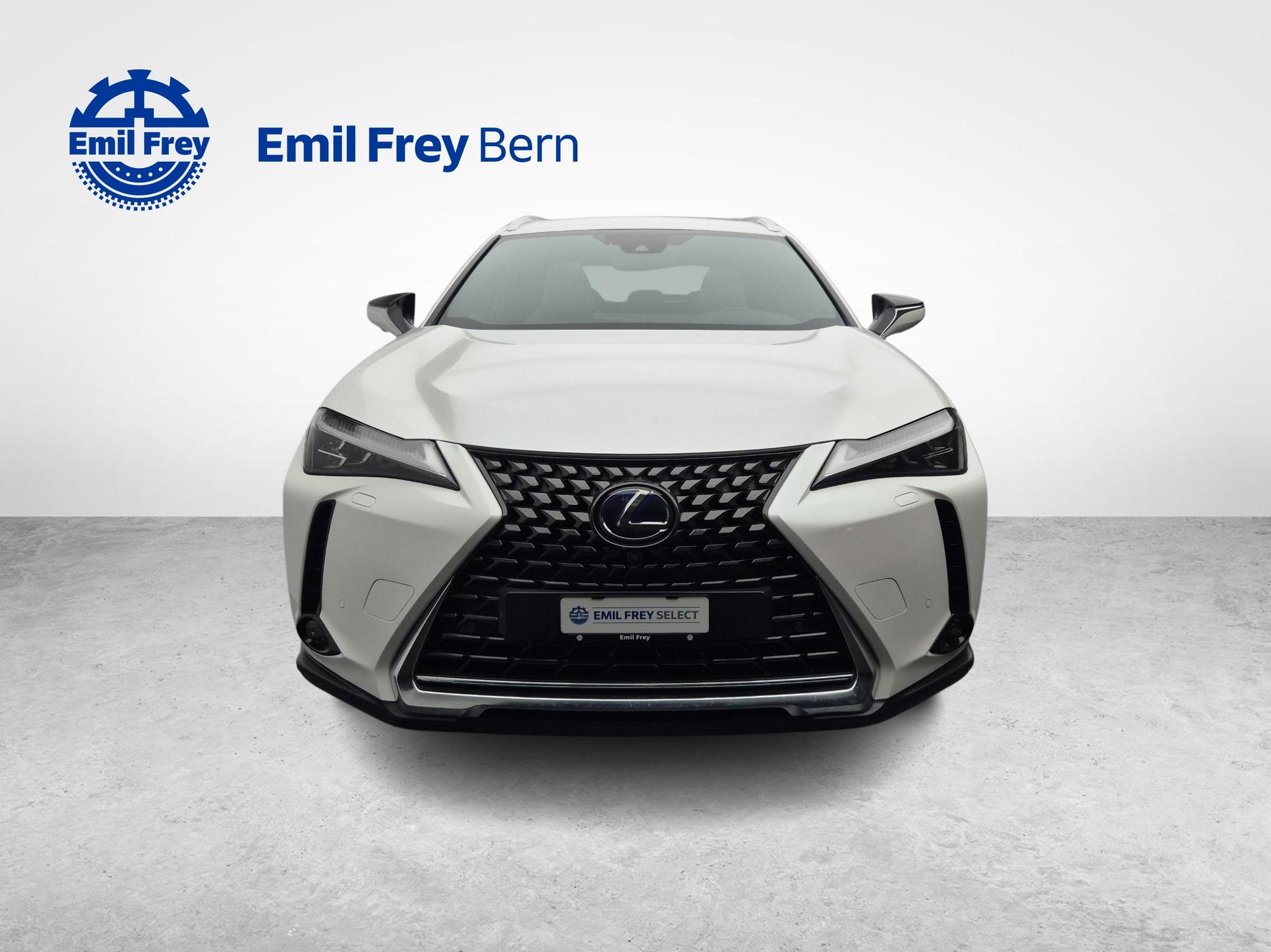 LEXUS UX 250h Excellence-image-10