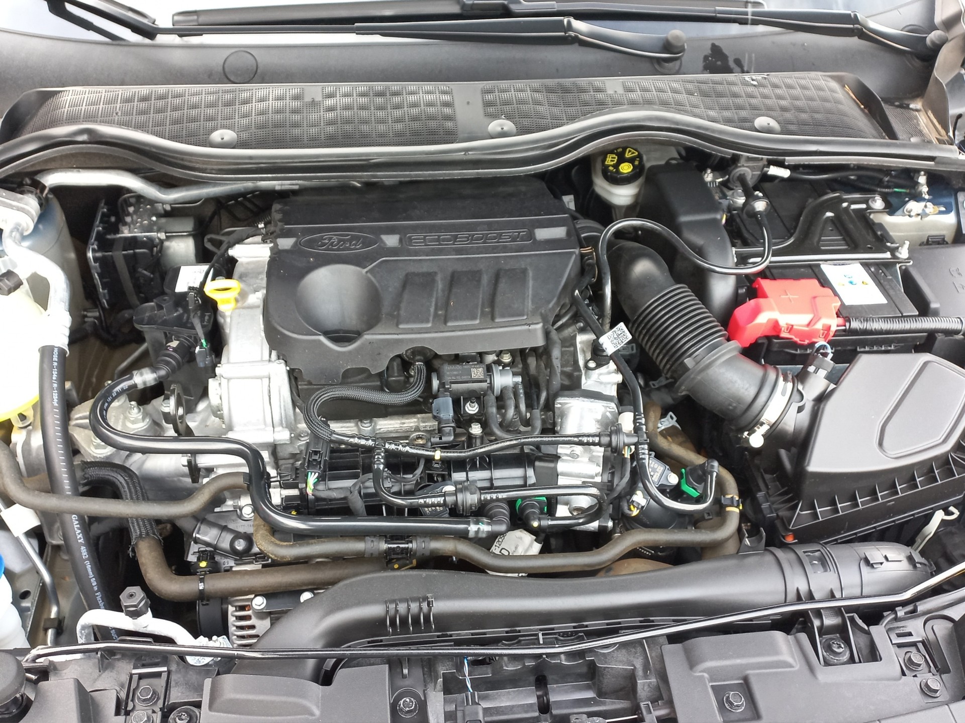 FORD Fiesta 1.0 SCTi MHEV ST Line X Automat-image-13