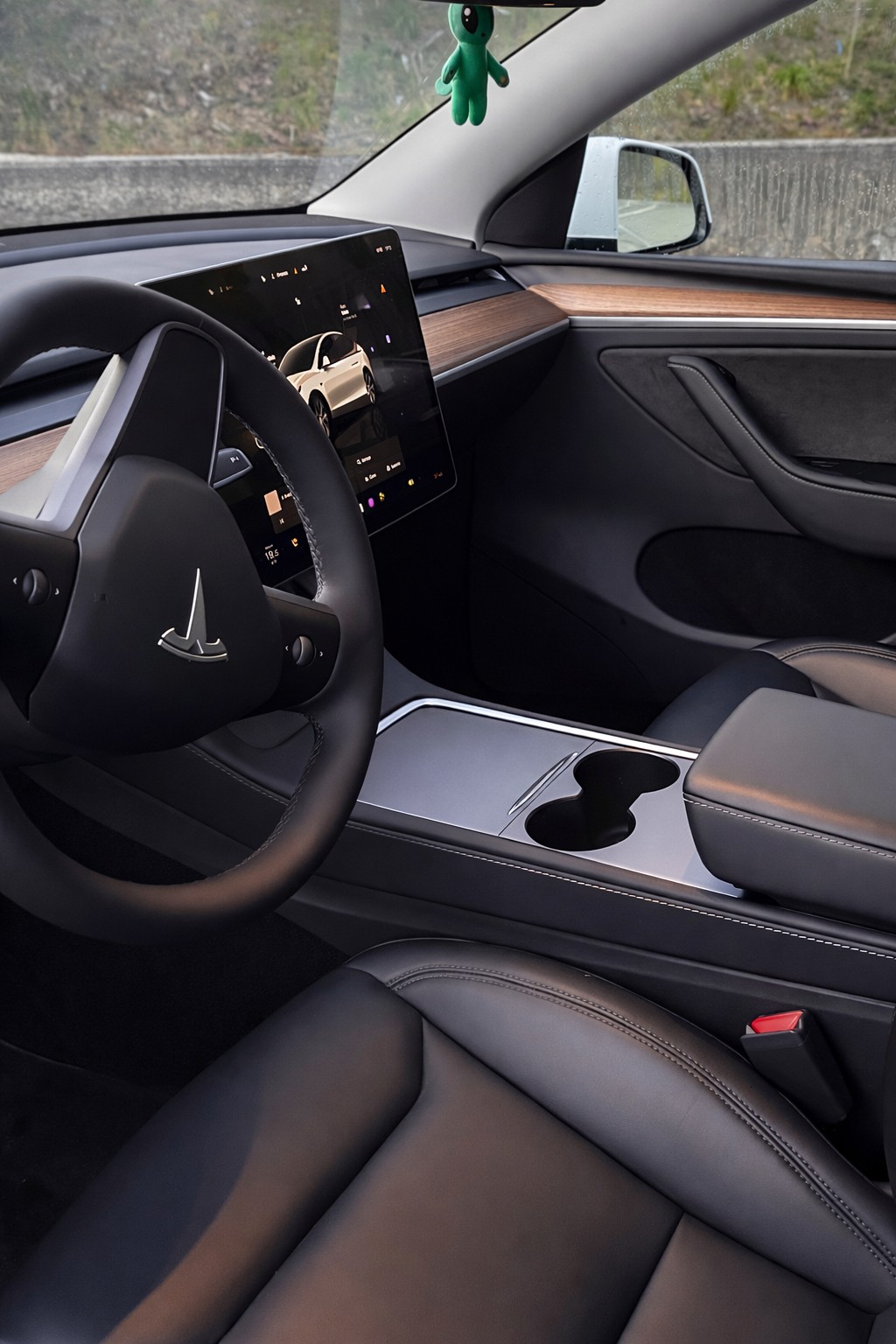 TESLA Model Y RWD-image-4