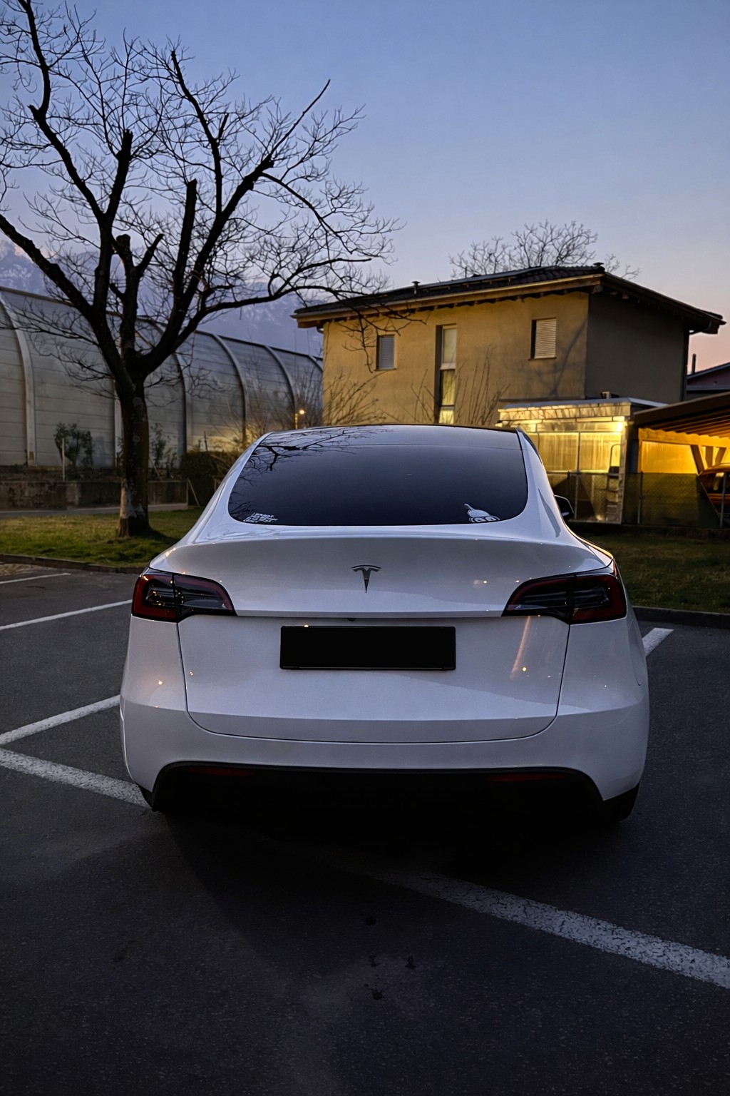 TESLA Model Y RWD-image-3