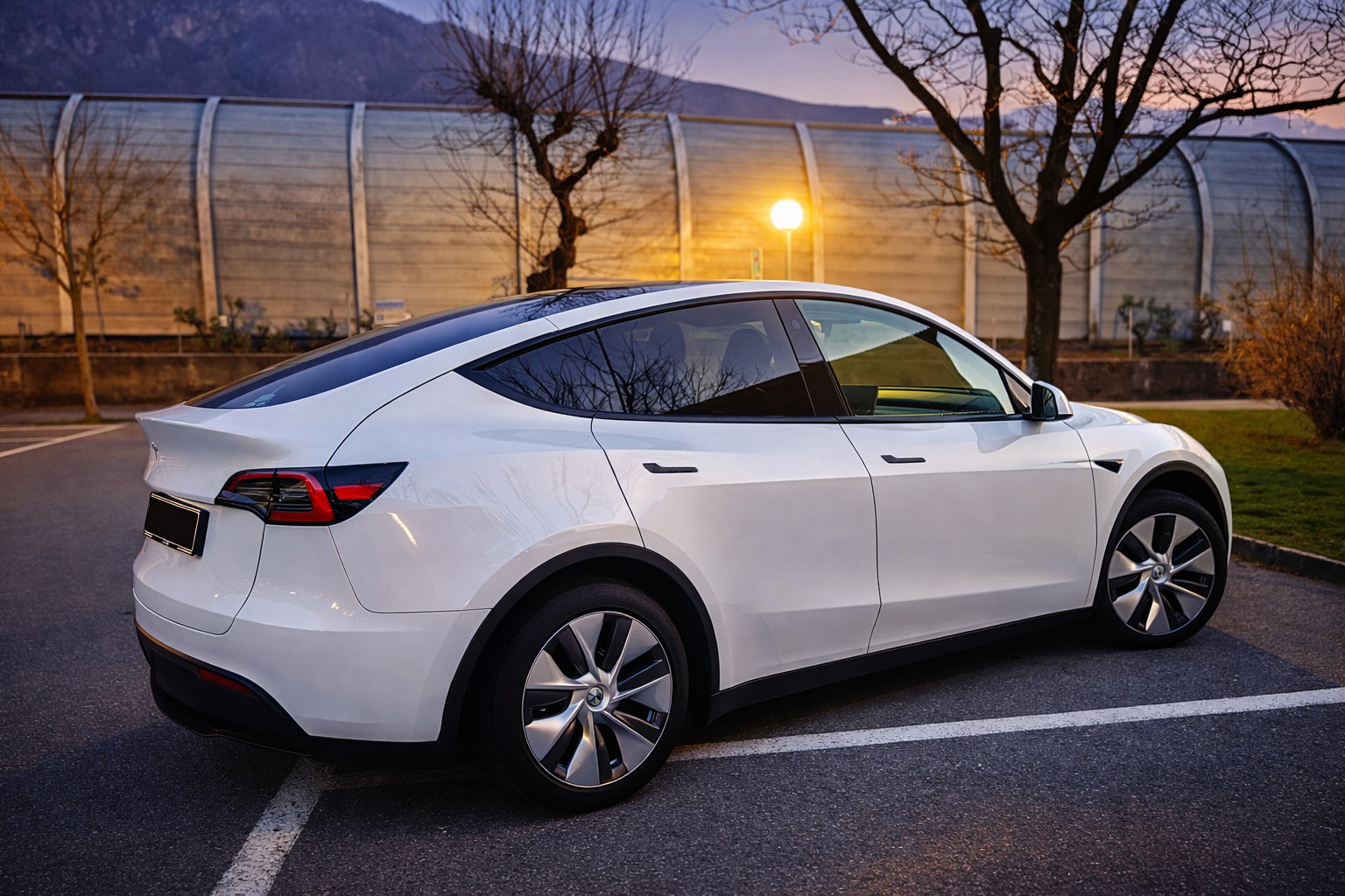 TESLA Model Y RWD-image-0
