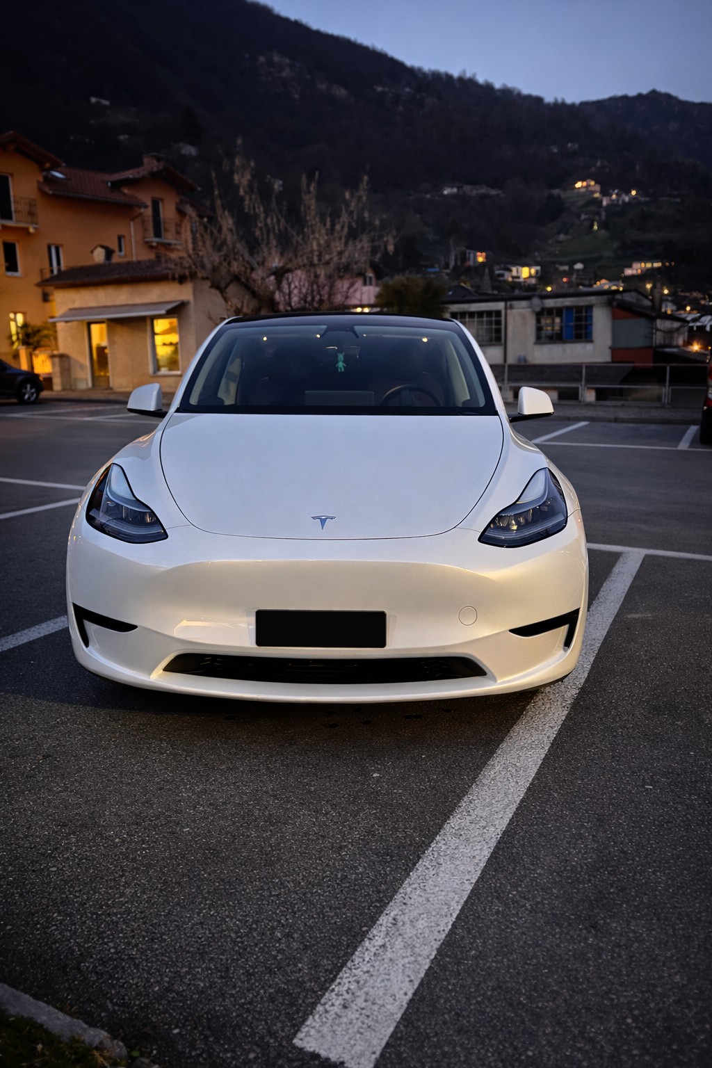 TESLA Model Y RWD-image-2