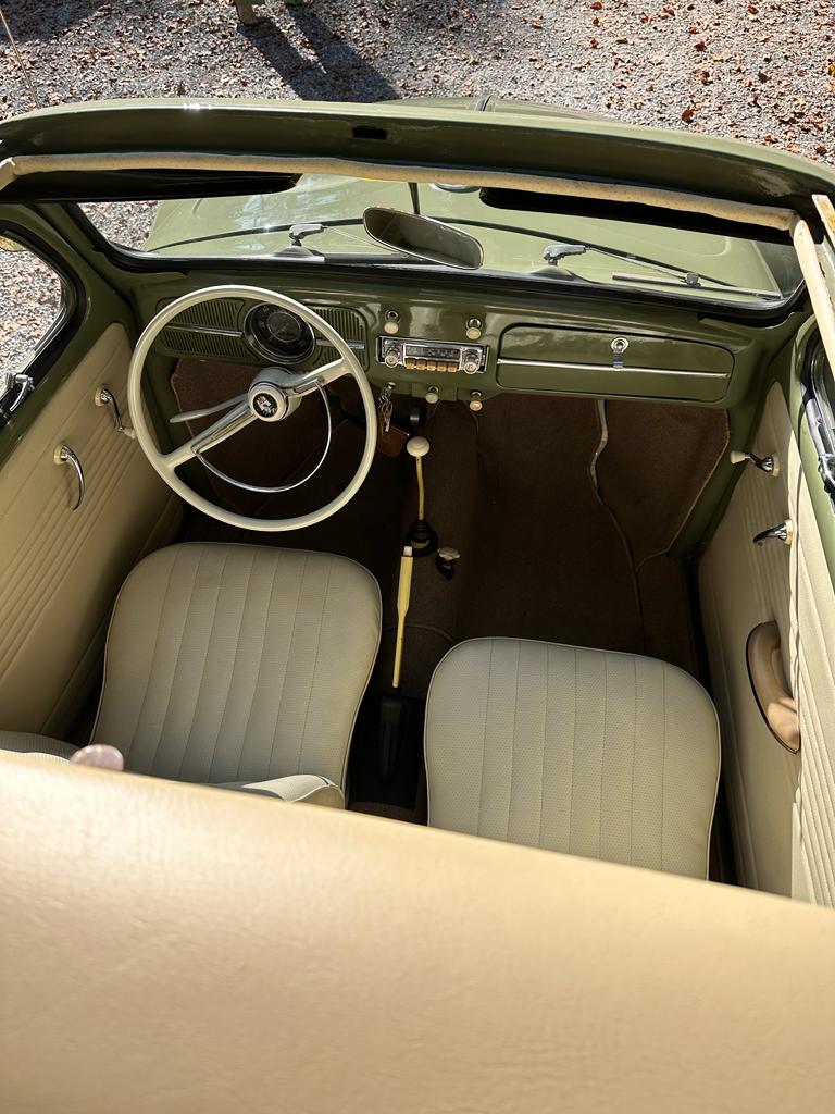 VW BEETLE-image-3