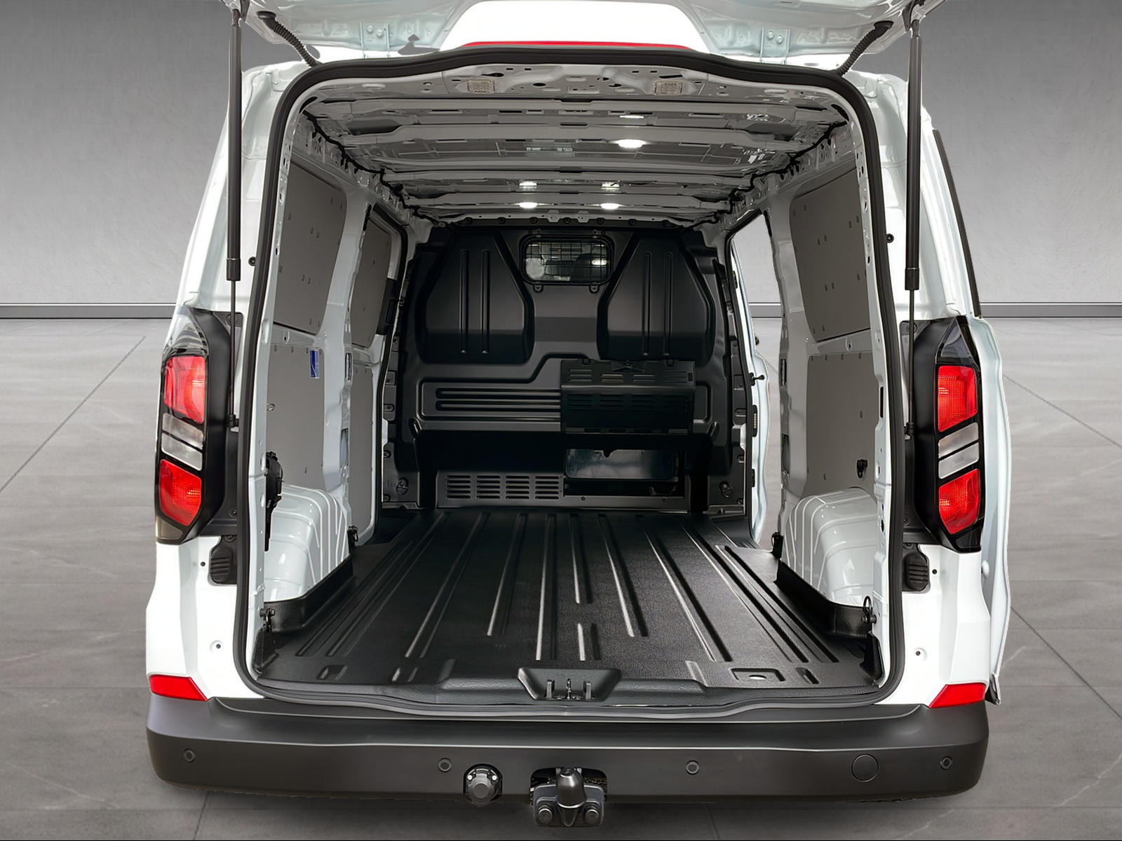 FORD Transit C Van 320 L2 2.5 Duratec 233 Trend PHEV-image-12