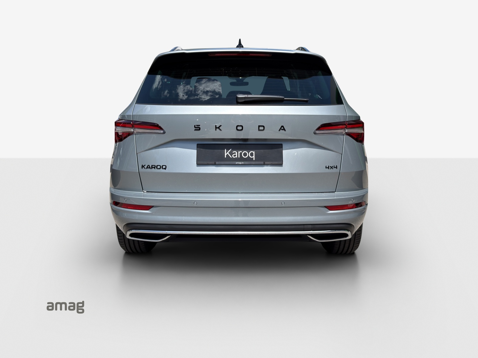 SKODA Karoq 2.0 TSI Dynamic Limited Edition 4x4 DSG-showroom-element-3