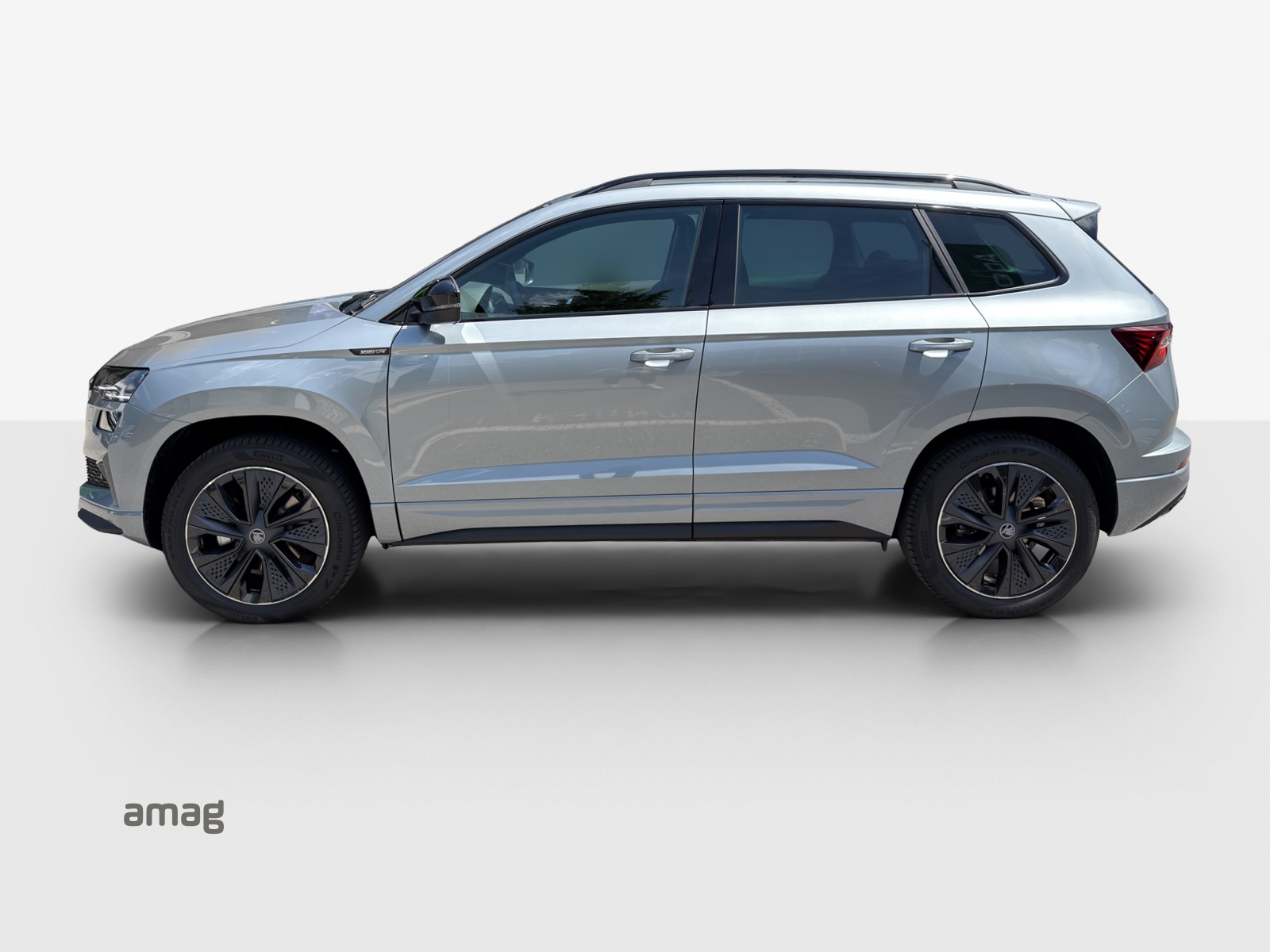 SKODA Karoq 2.0 TSI Dynamic Limited Edition 4x4 DSG-showroom-element-1