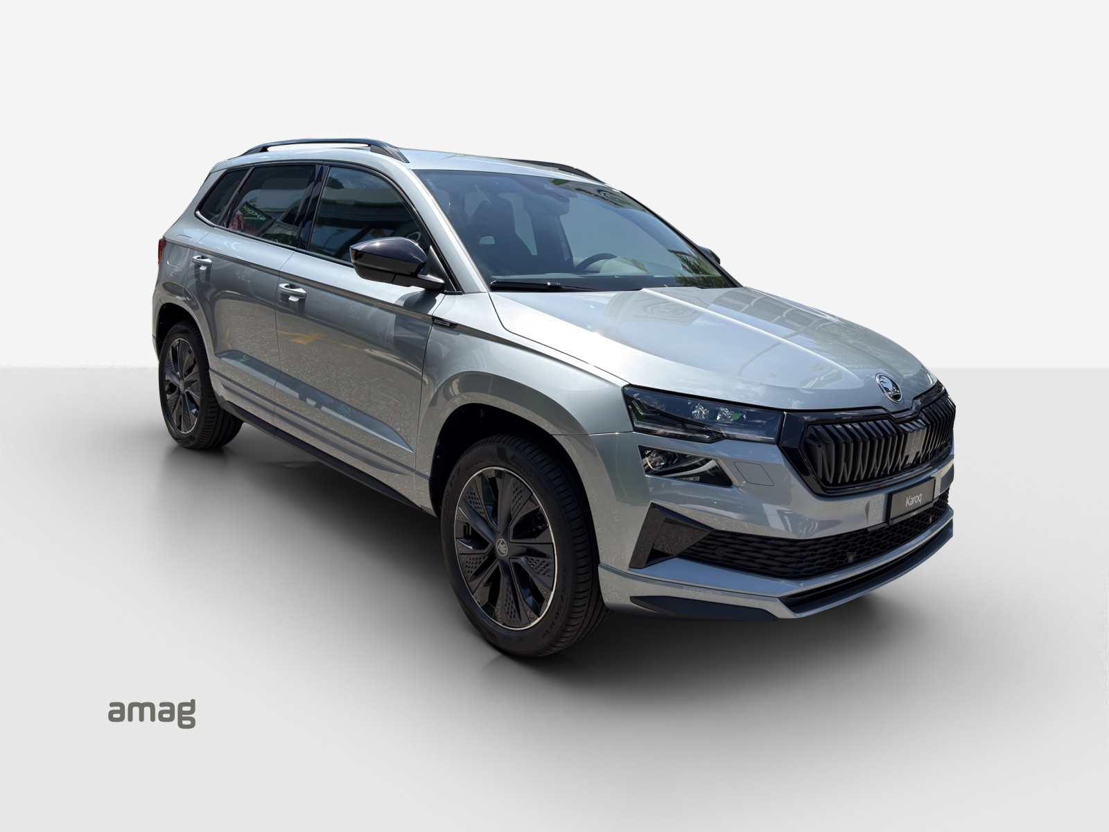 SKODA Karoq 2.0 TSI Dynamic Limited Edition 4x4 DSG-image-5