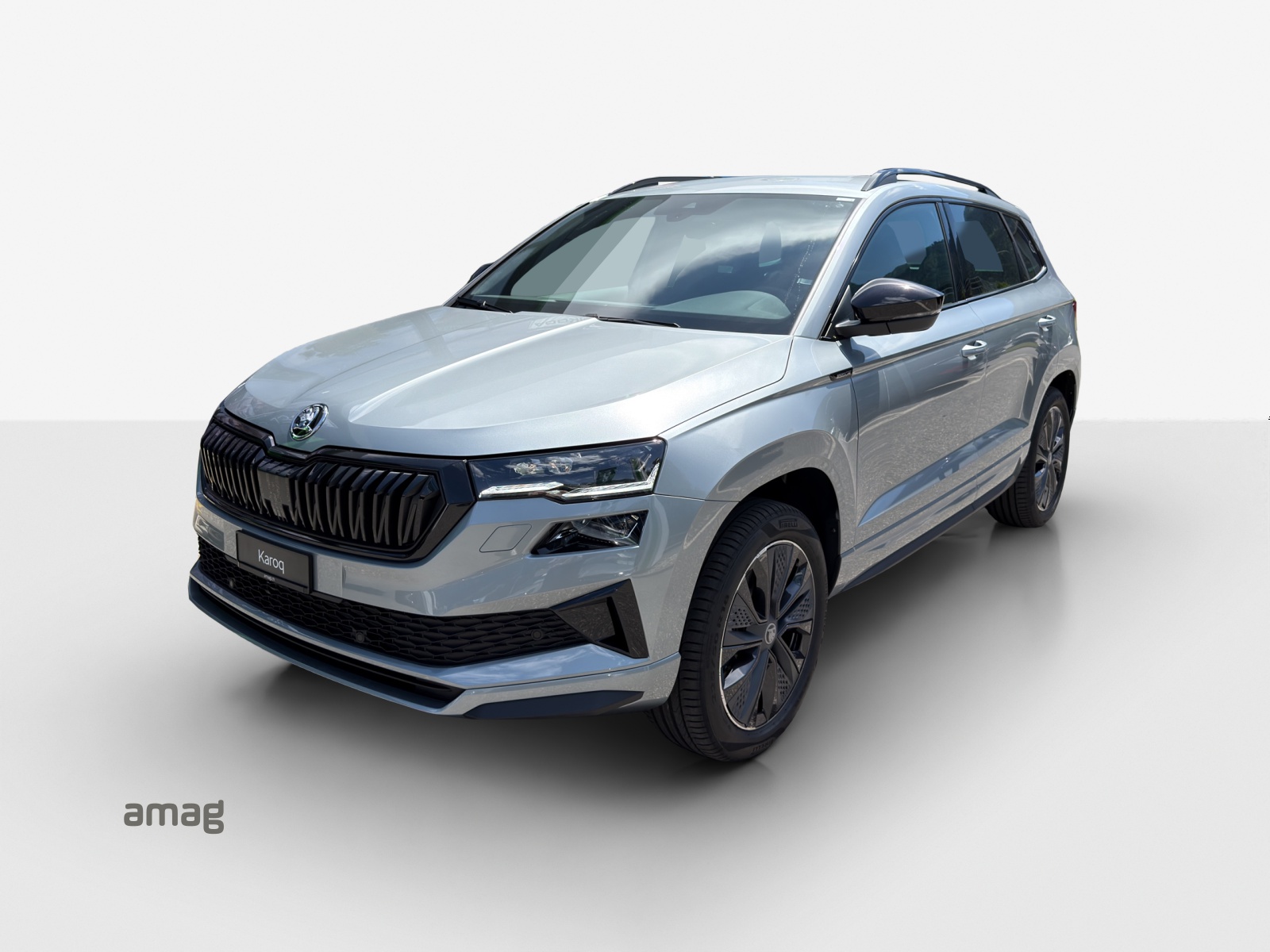 SKODA Karoq 2.0 TSI Dynamic Limited Edition 4x4 DSG