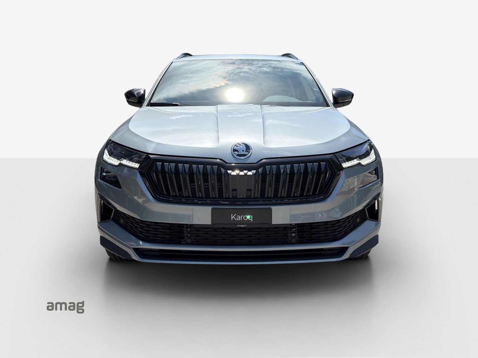 SKODA Karoq 2.0 TSI Dynamic Limited Edition 4x4 DSG-image-6