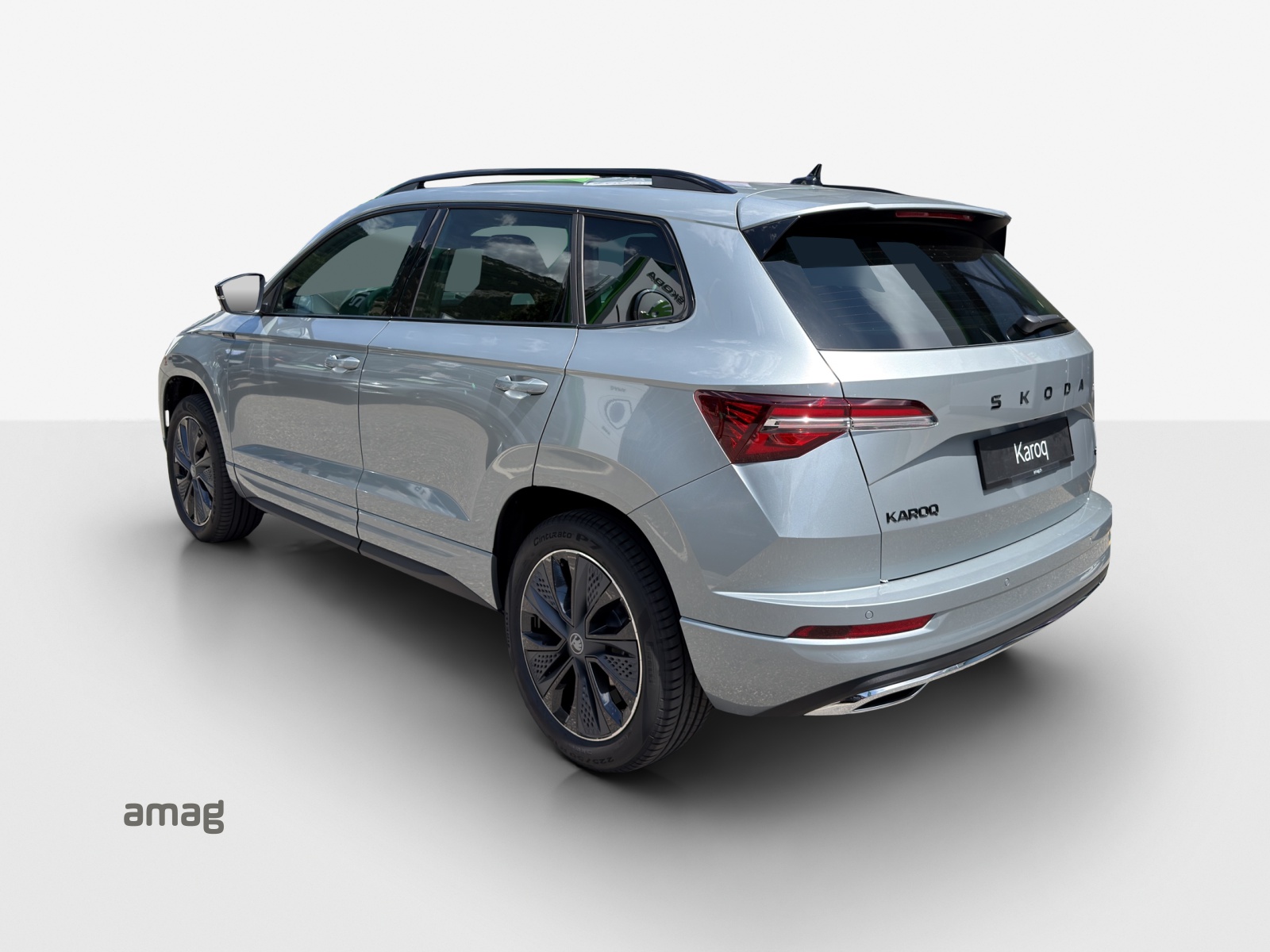 SKODA Karoq 2.0 TSI Dynamic Limited Edition 4x4 DSG-showroom-element-2
