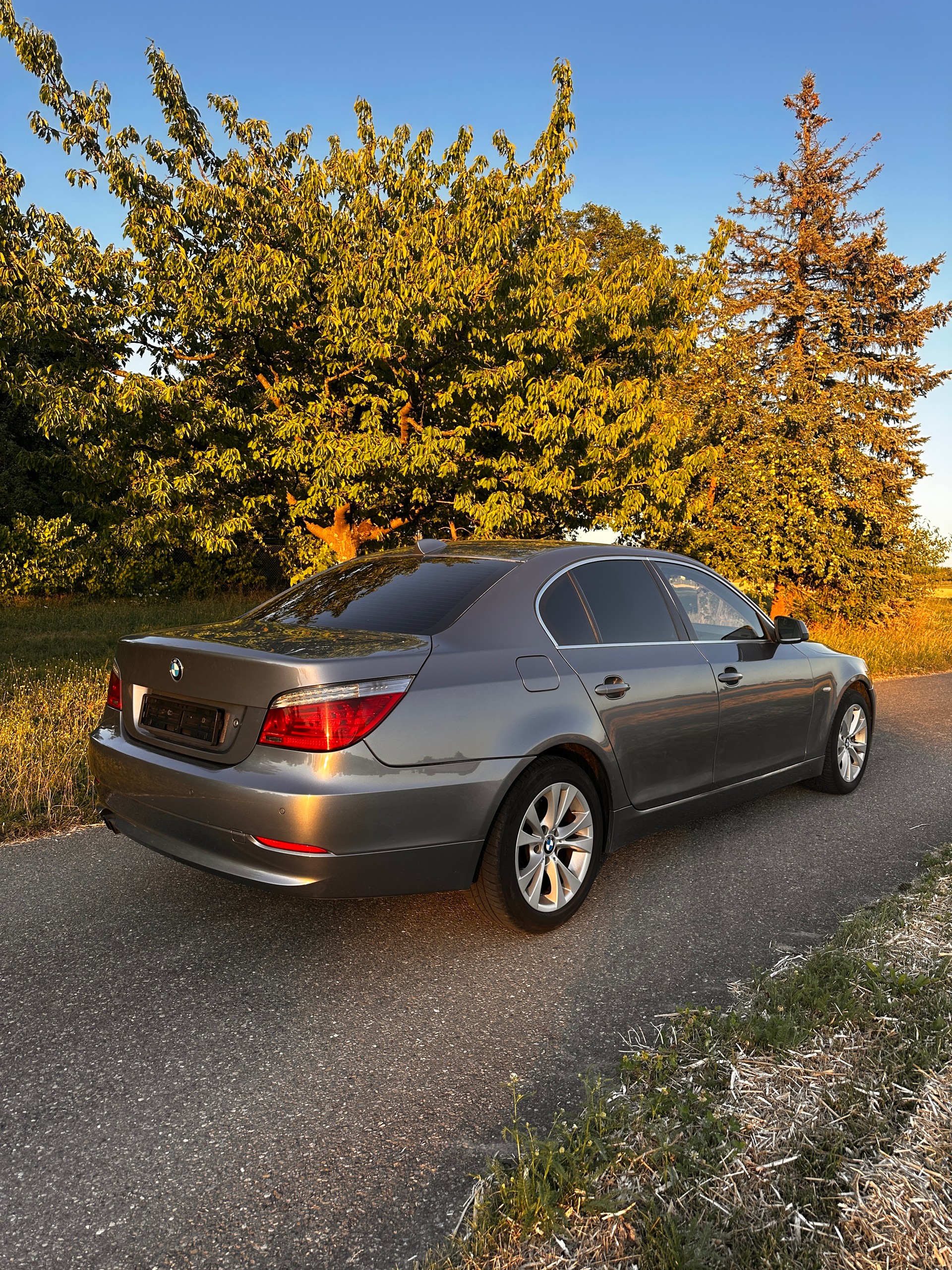 BMW 530xd Steptronic-image-7