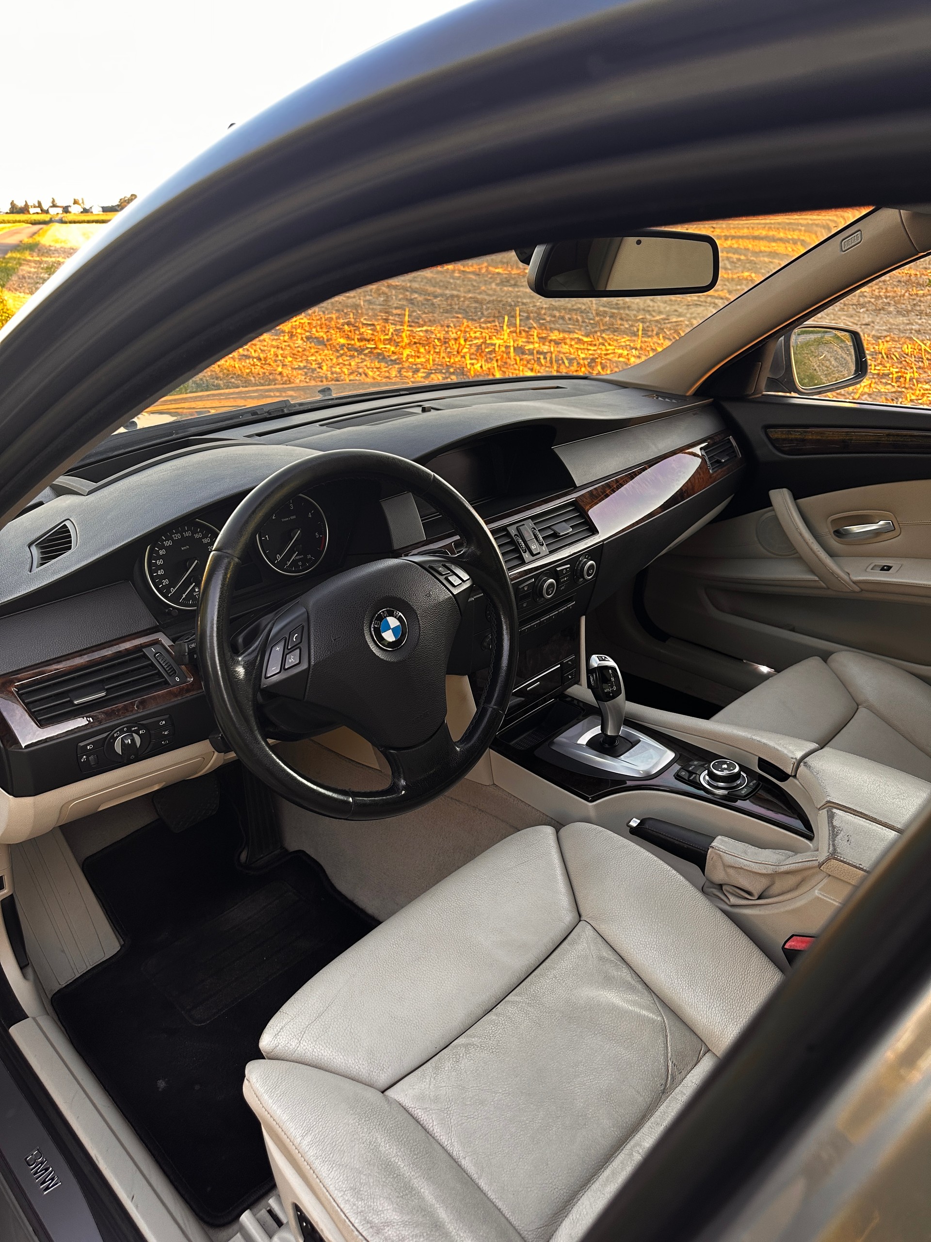 BMW 530xd Steptronic-image-8