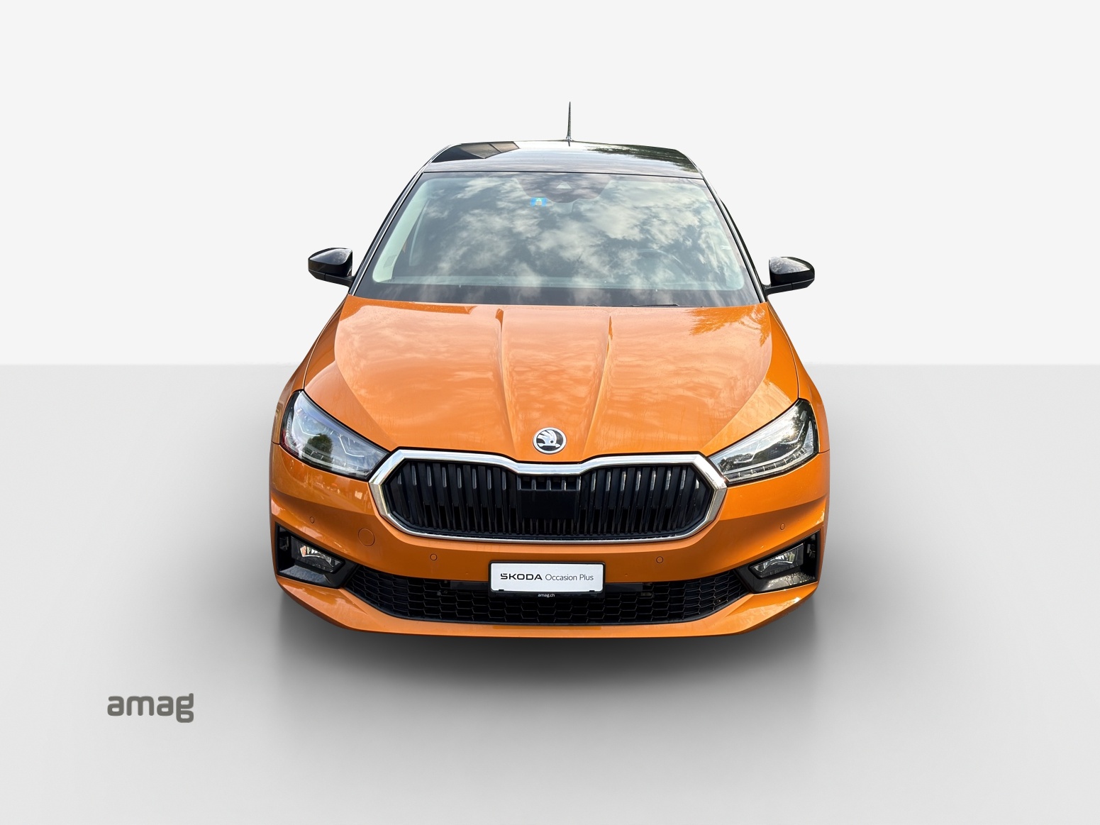 SKODA Fabia 1.0 TSI First Edition DSG-image-6