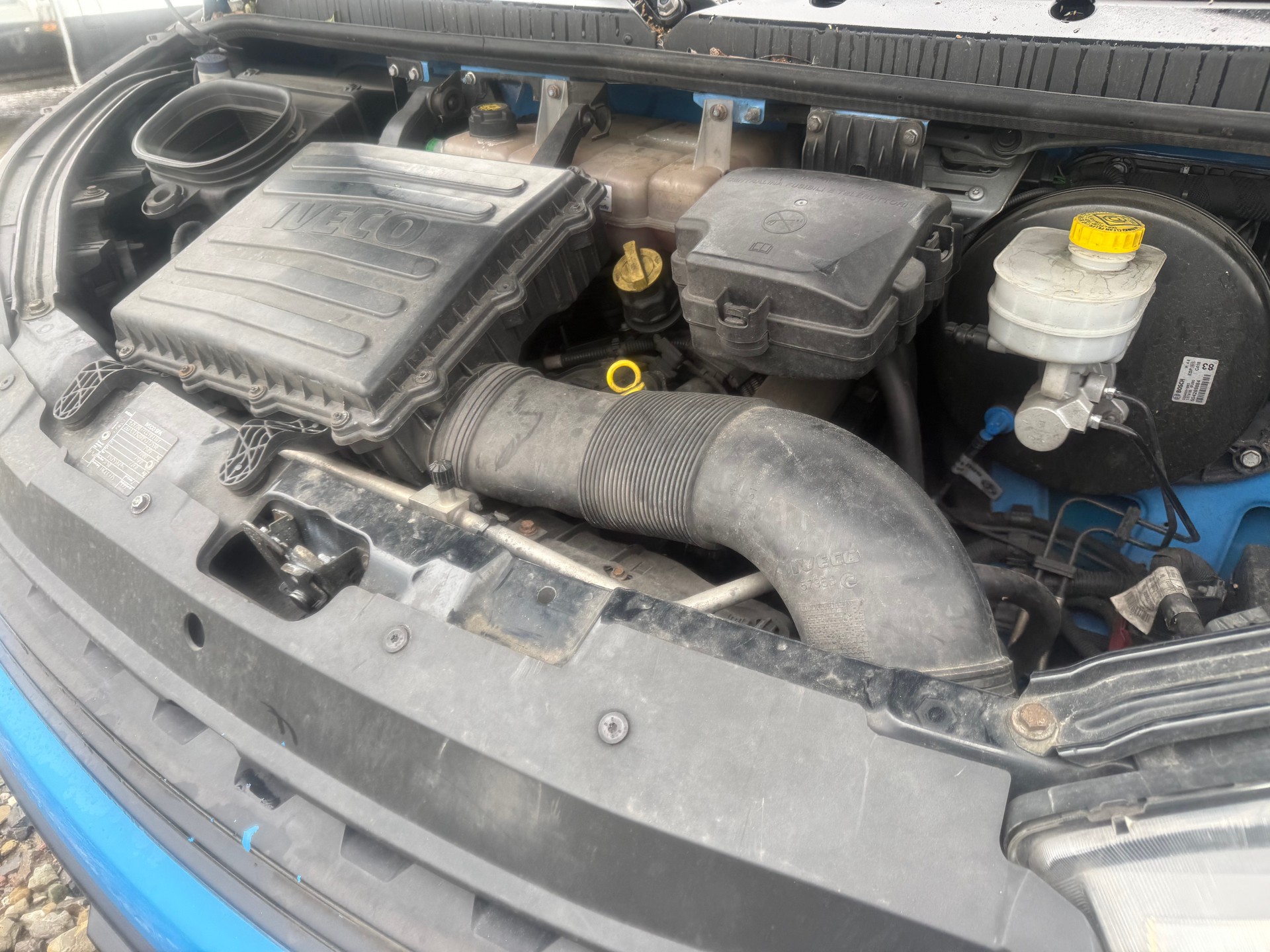 IVECO 35 S 16 A8 Frigo bis -20 Grad-image-14