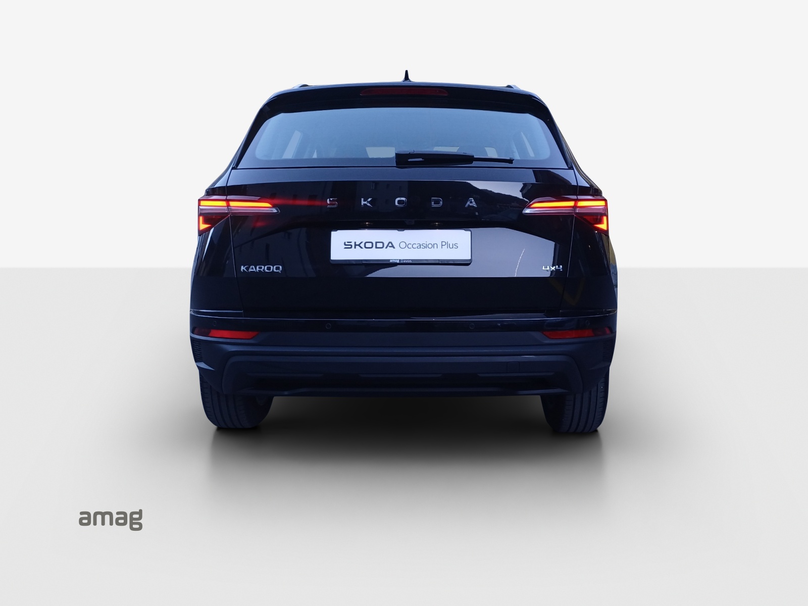 SKODA Karoq 2.0 TDI CR Selection 4x4 DSG-showroom-element-3