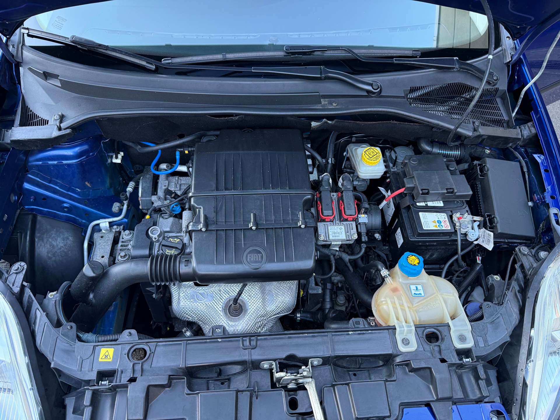 FIAT 1.4 Dynamic Automat-image-15