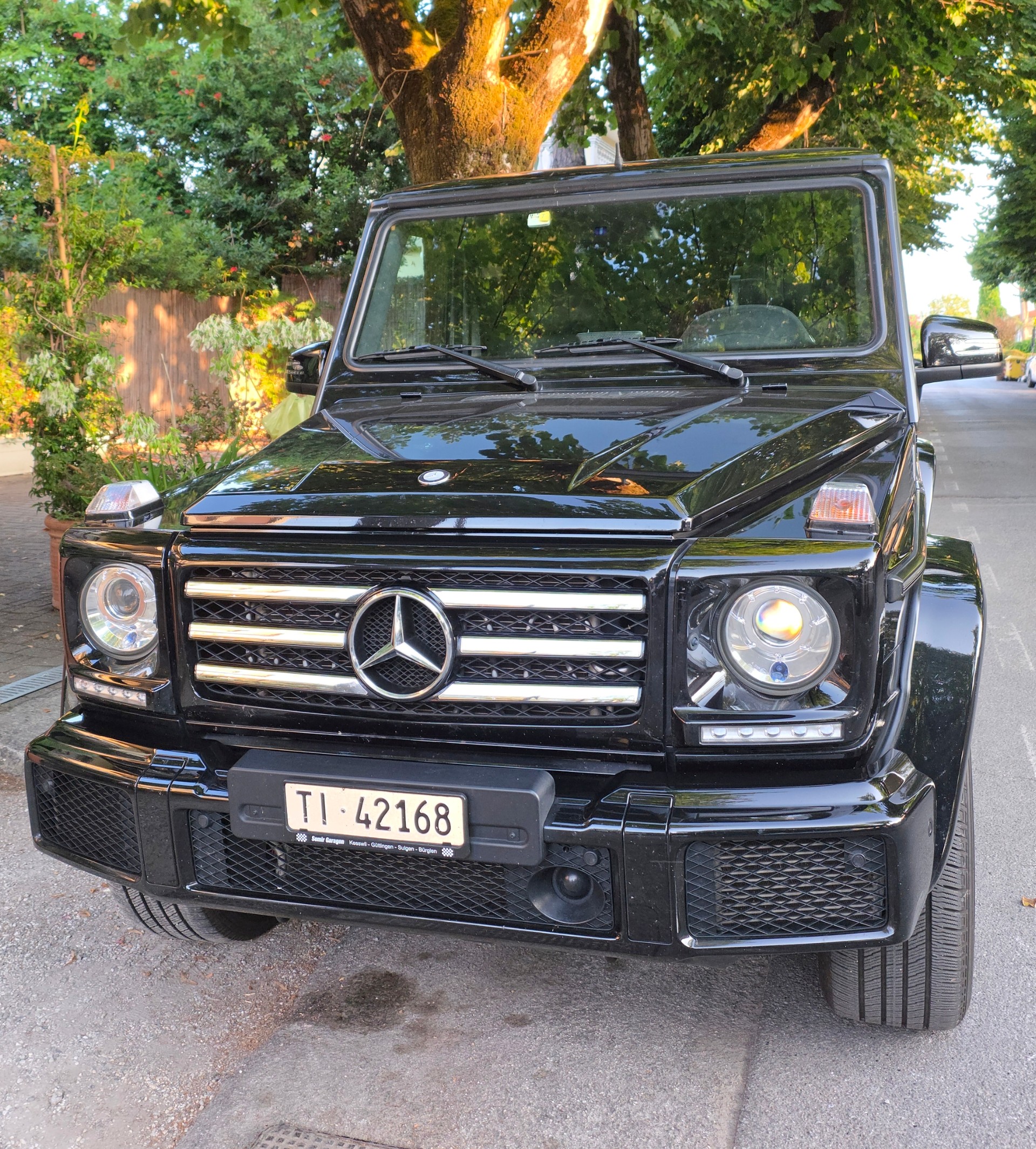 MERCEDES-BENZ G 350 d lang-image-0