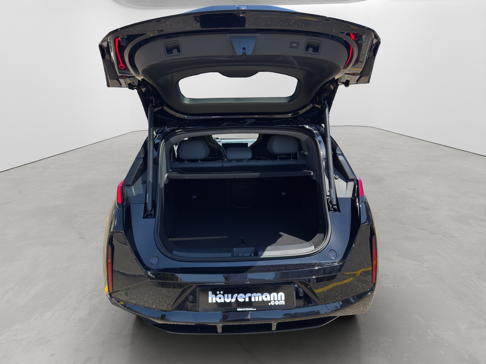 ZEEKR X Privilege AWD-image-4
