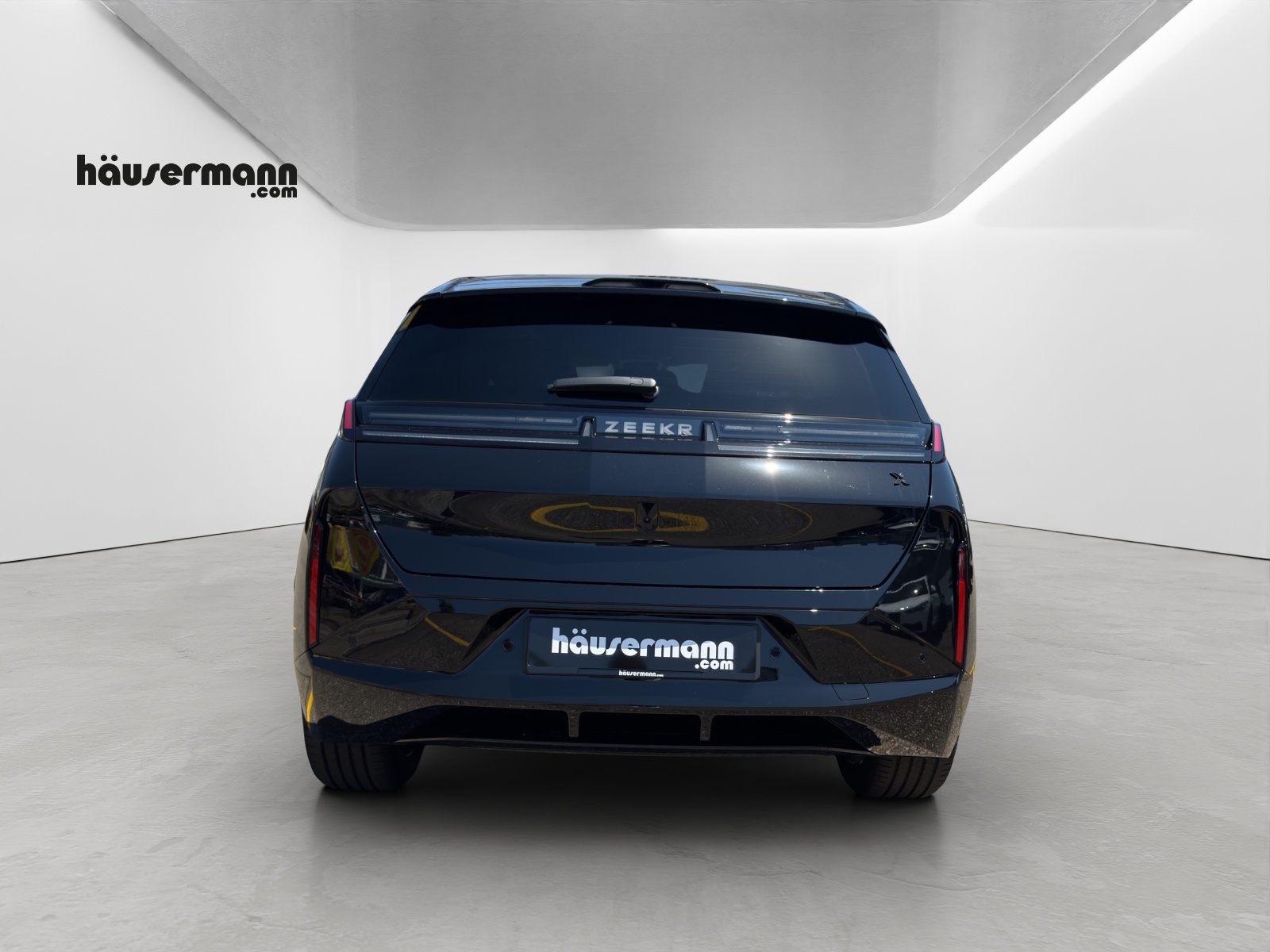ZEEKR X Privilege AWD-image-5