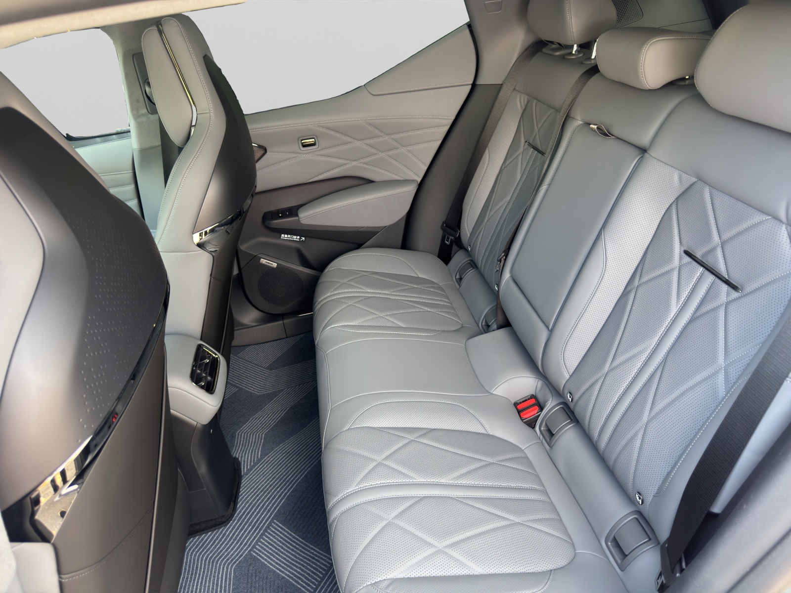 ZEEKR X Privilege AWD-image-8