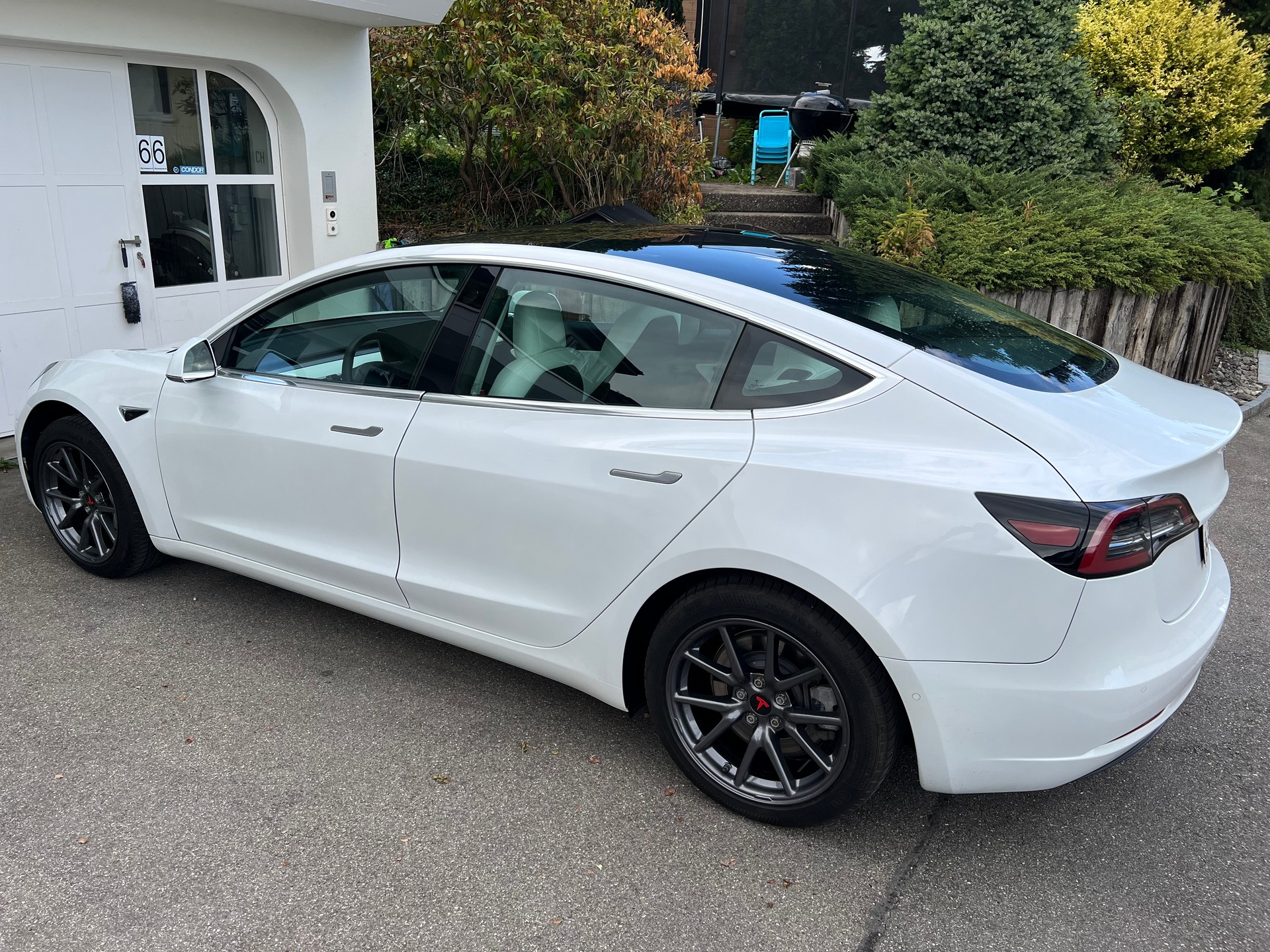 TESLA Standart Range Plus-image-1