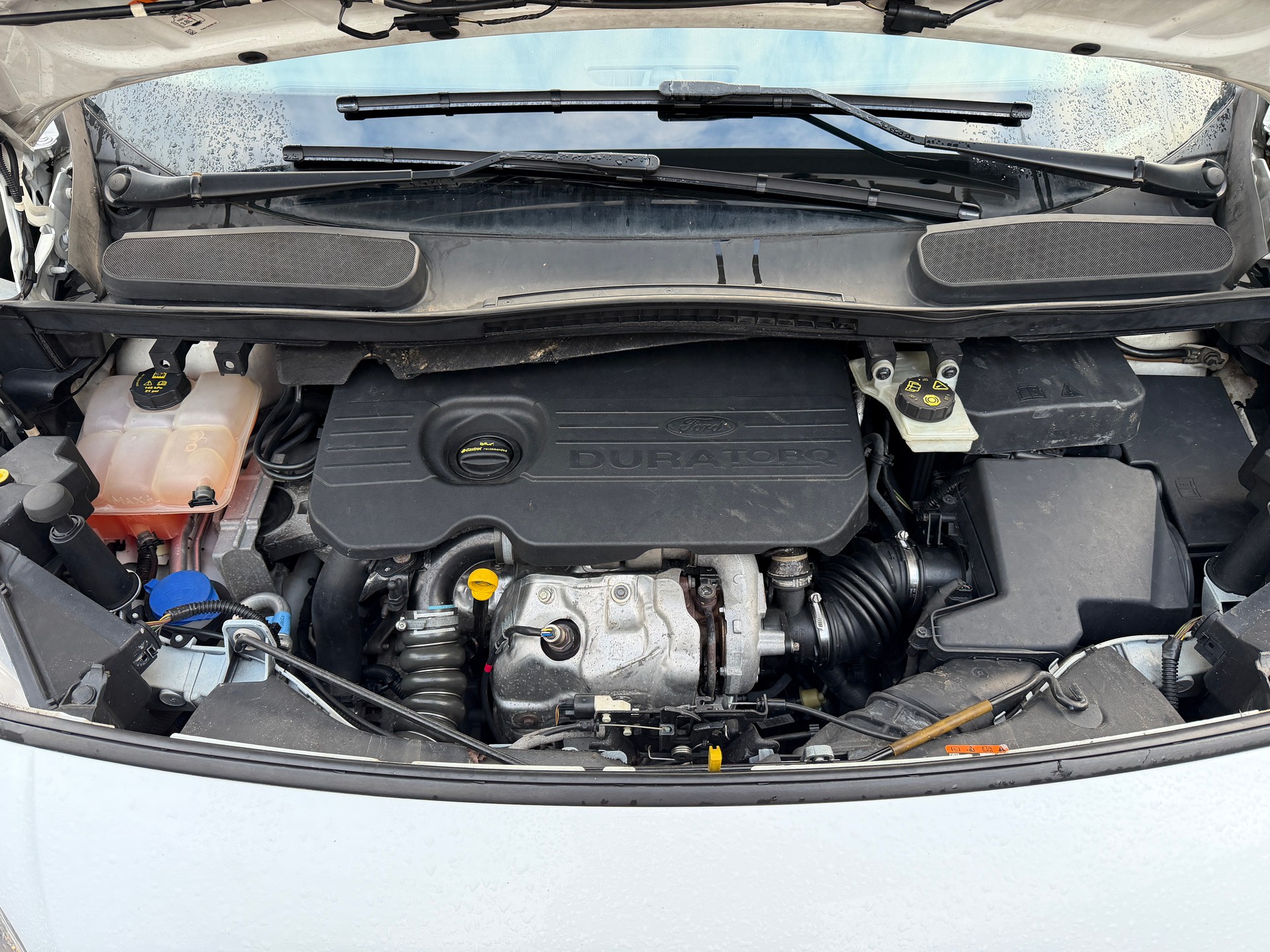 FORD Transit Connect Kühlkasten 1.5 TDCi Automat-image-14