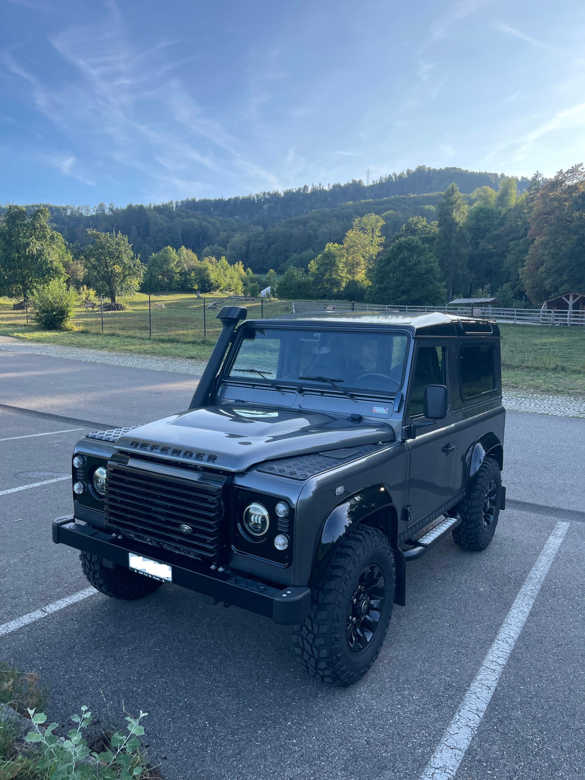 LAND ROVER 2.2 TD4 SW Legend-image-1