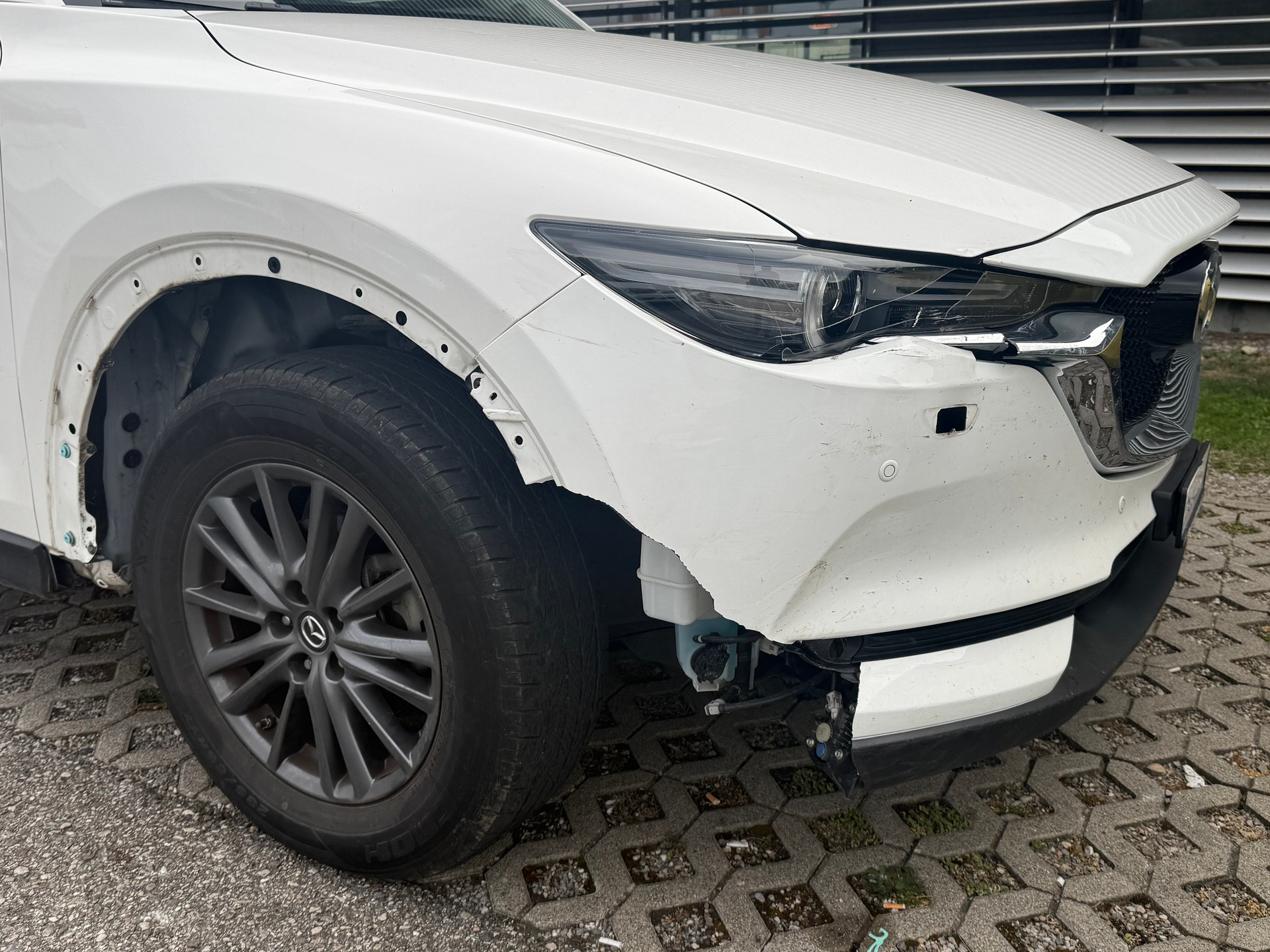 MAZDA CX-5 SKYACTIV-G 165 Revolution AWD Automat-image-1