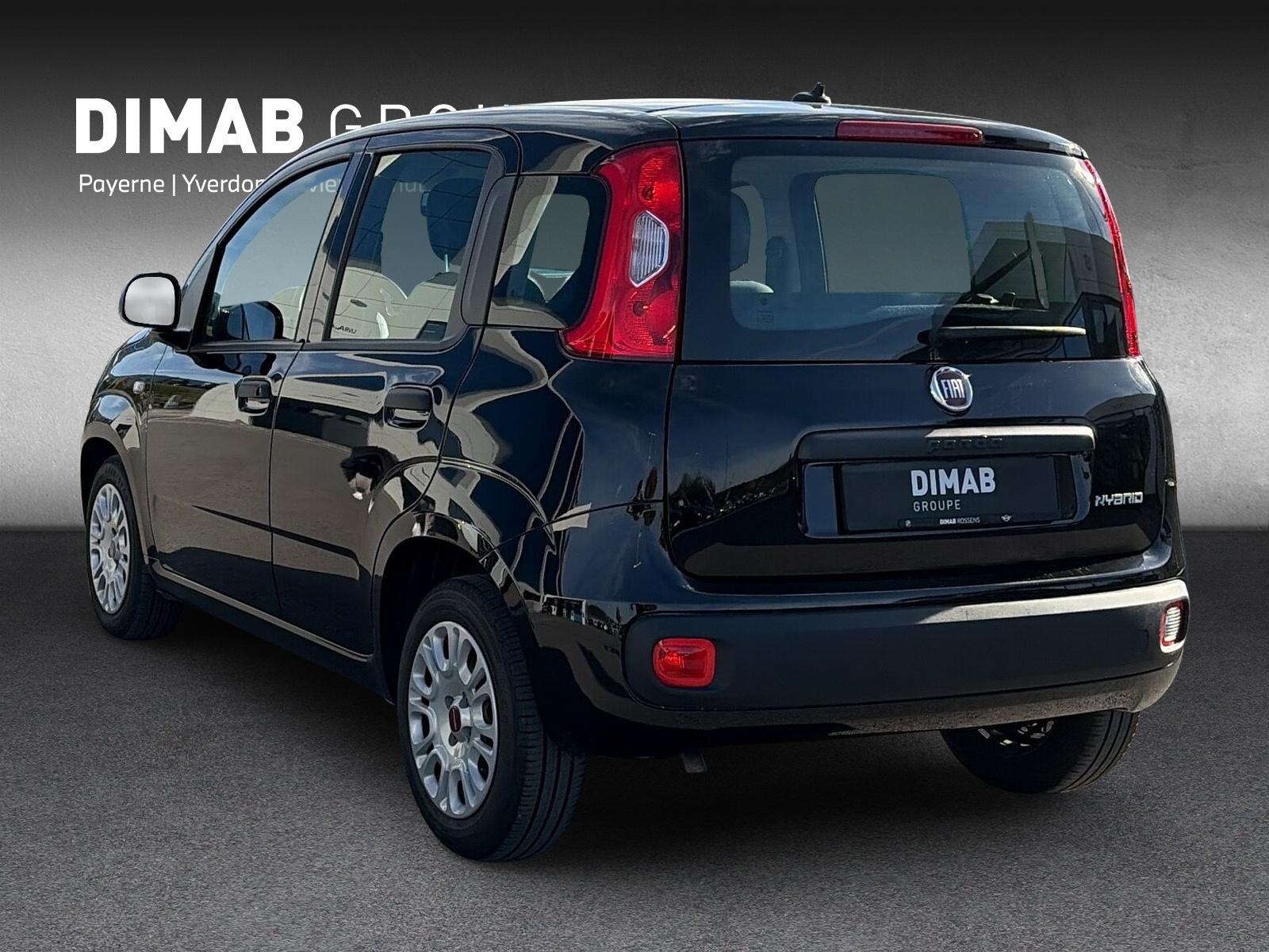 FIAT Panda 1.0 Hybrid Cool-showroom-element-2