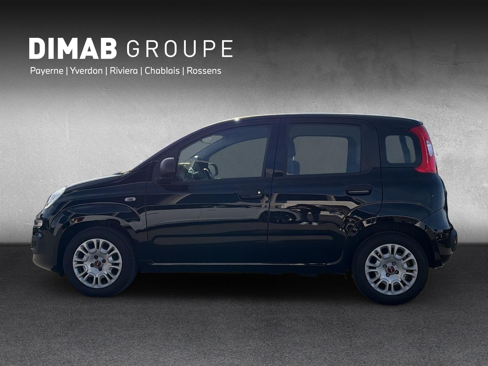 FIAT Panda 1.0 Hybrid Cool-showroom-element-1