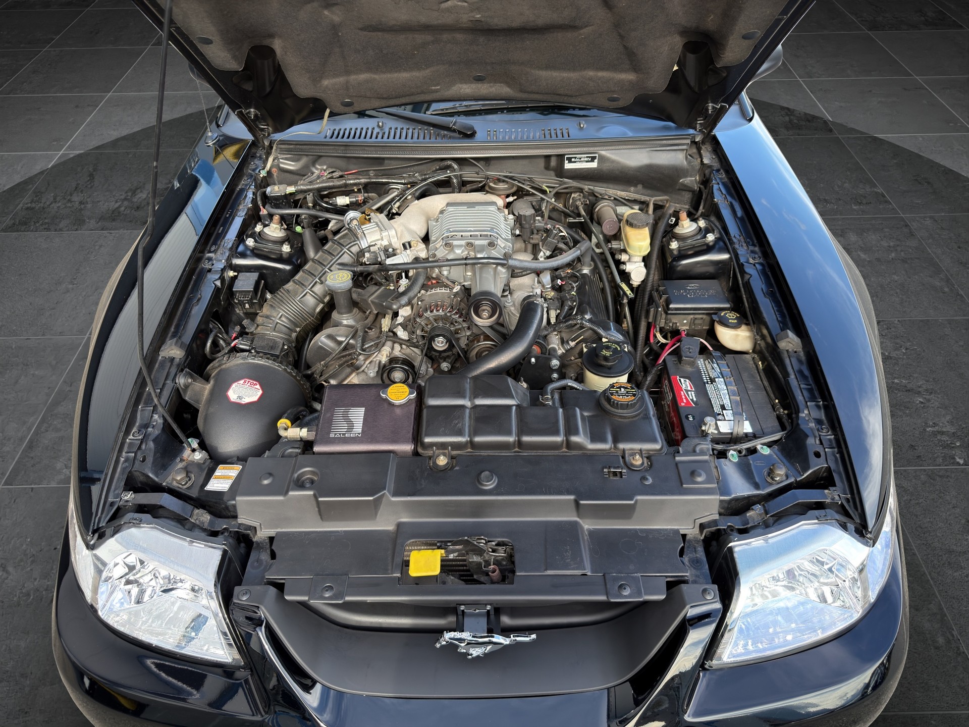 FORD Mustang SALEEN S281 SC-image-17