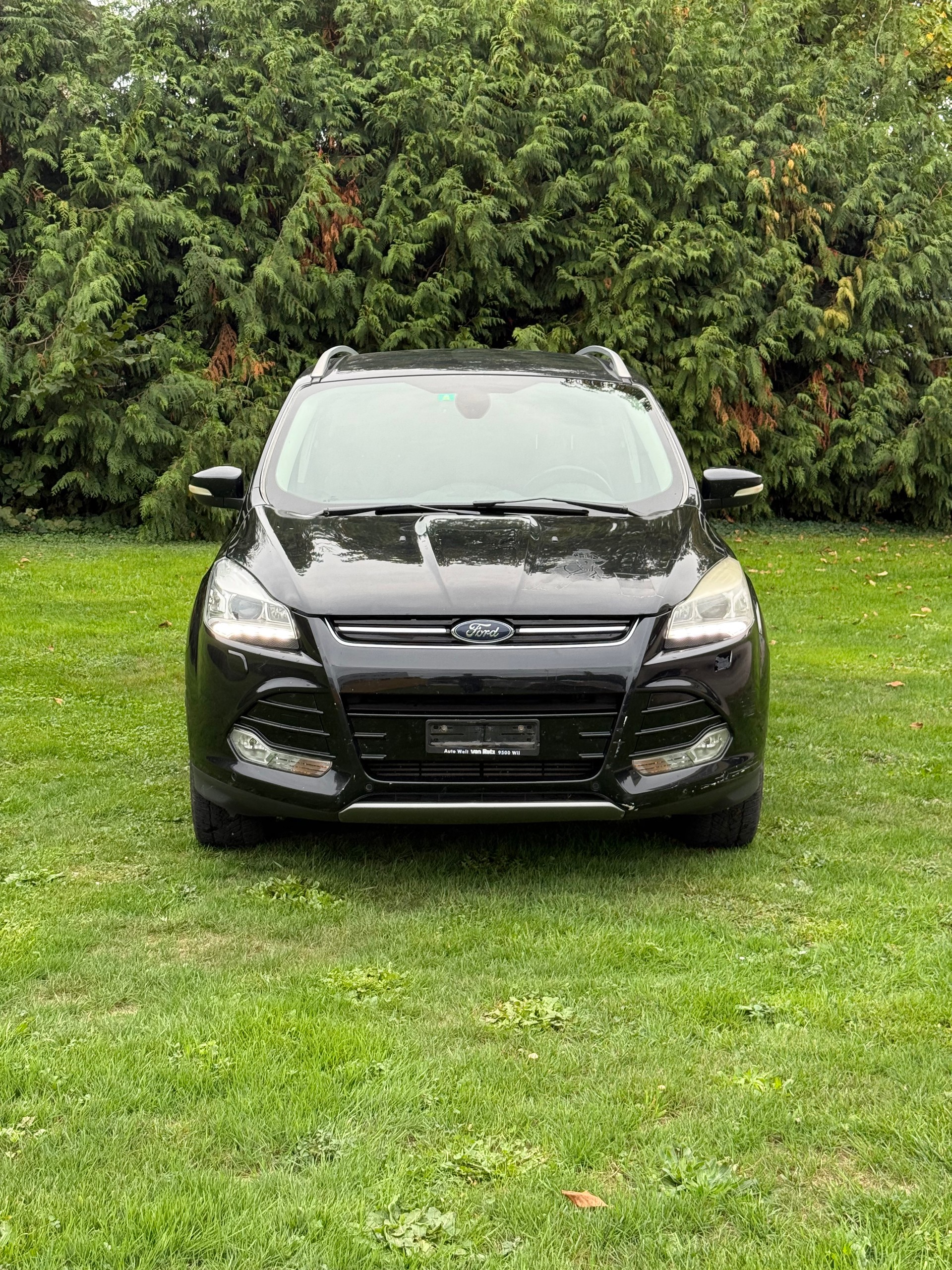 FORD Kuga 2.0 TDCi Carving 4WD PowerShift-image-2