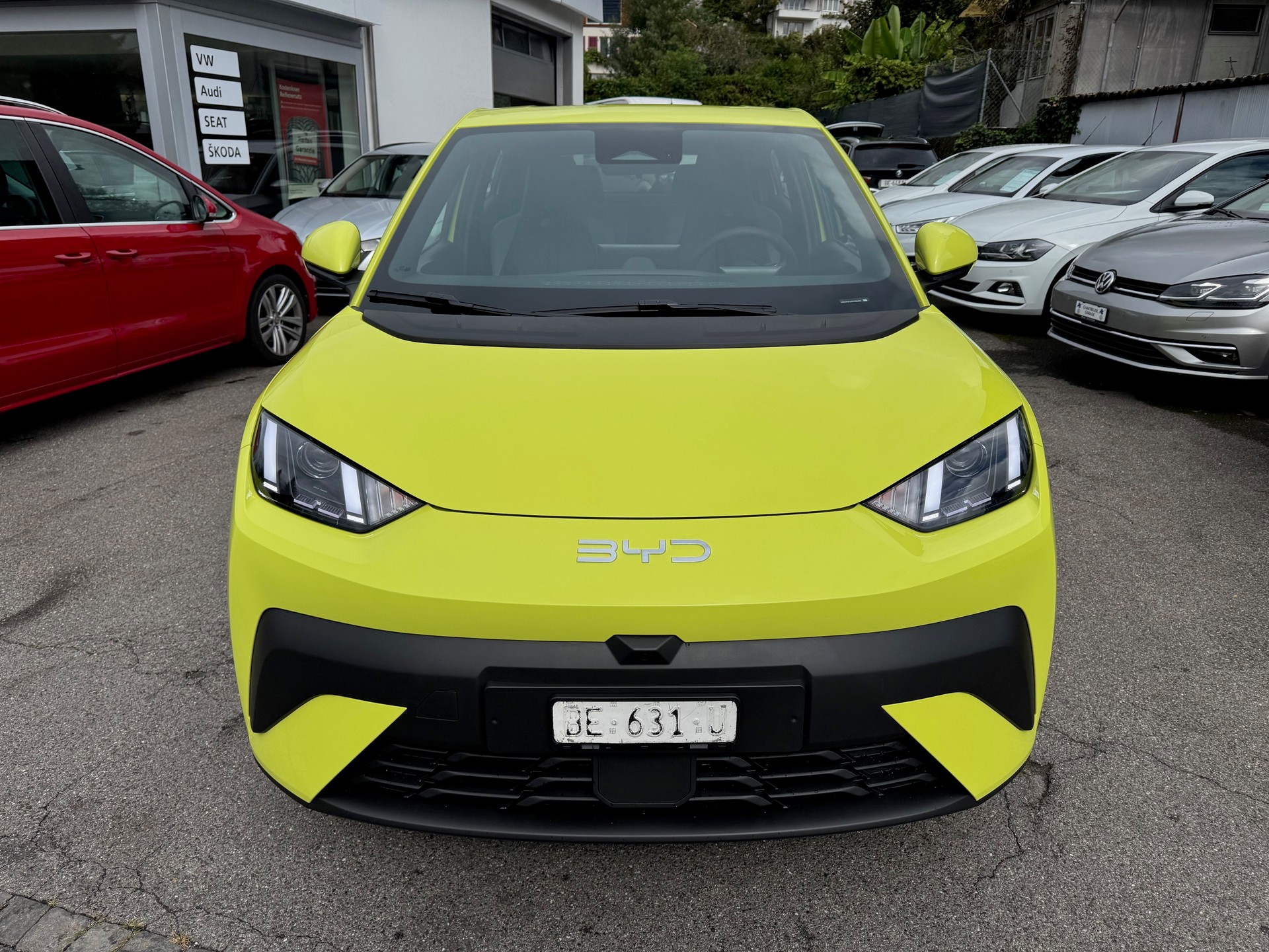 BYD Dolphin Surf 43 kWh Boost-image-1
