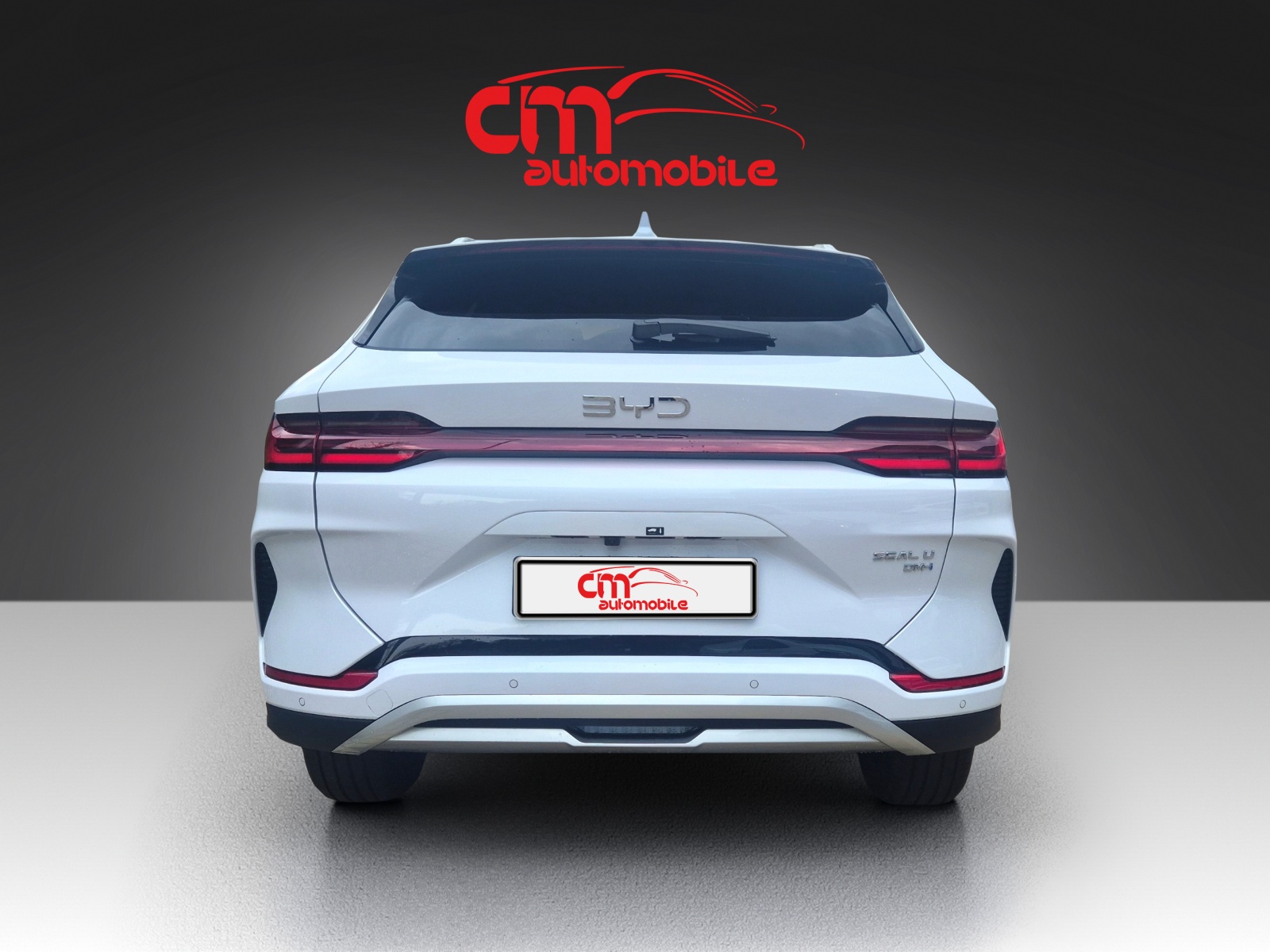 BYD Seal U DM-i Boost-image-3