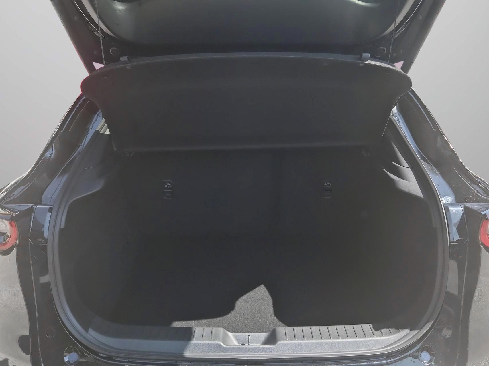 MAZDA CX-30 SKYACTIV-X 186 M Hybrid Homura AWD AT-image-14