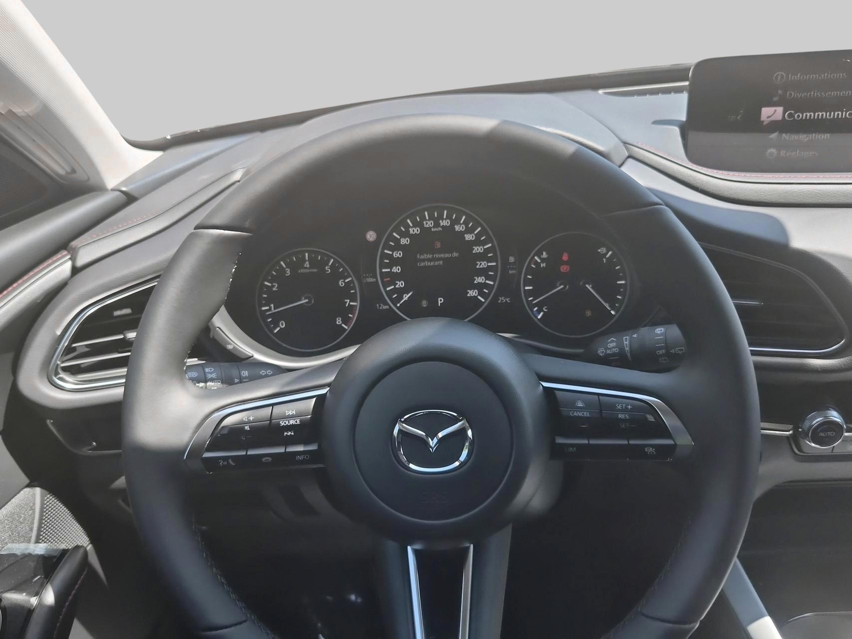 MAZDA CX-30 SKYACTIV-X 186 M Hybrid Homura AWD AT-image-10