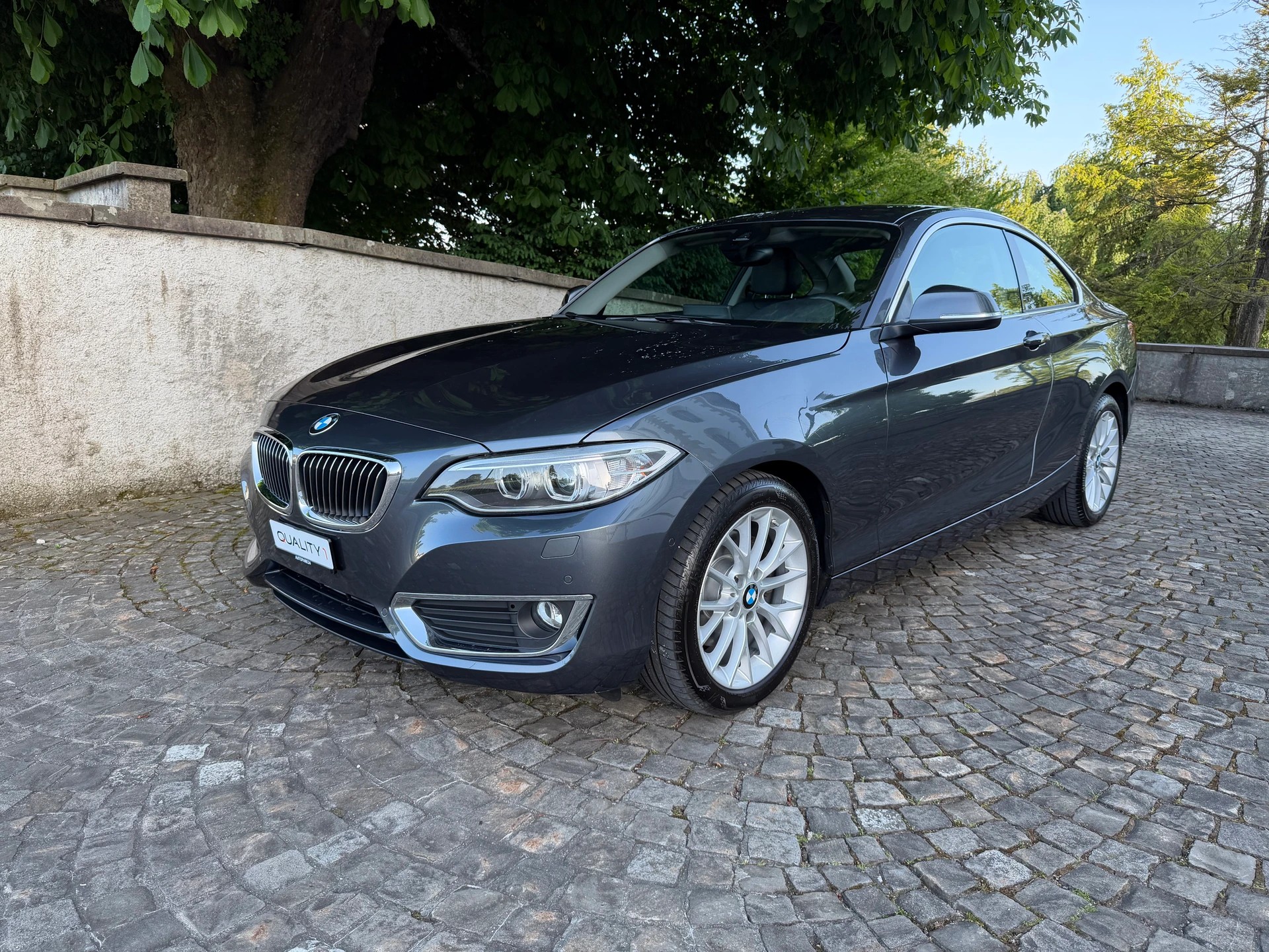 BMW 220d xDrive Luxury Line Steptronic / Frisch ab MFK / Service gepflegt / 36 Monate Garantie / 8 Fach / Leder / Navi / Xenon-image-0