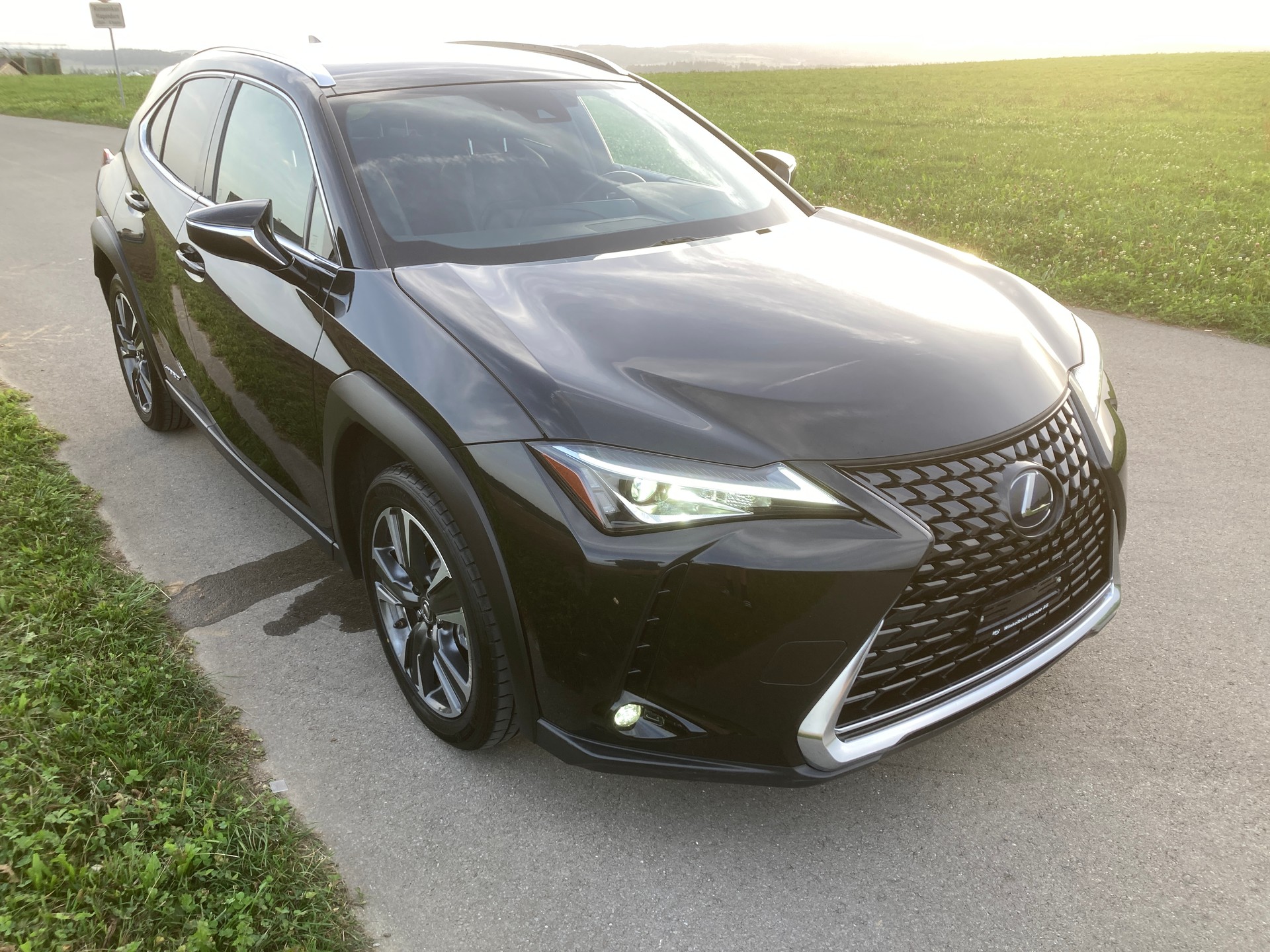 LEXUS UX 250h Excellence AWD Automatic-image-1
